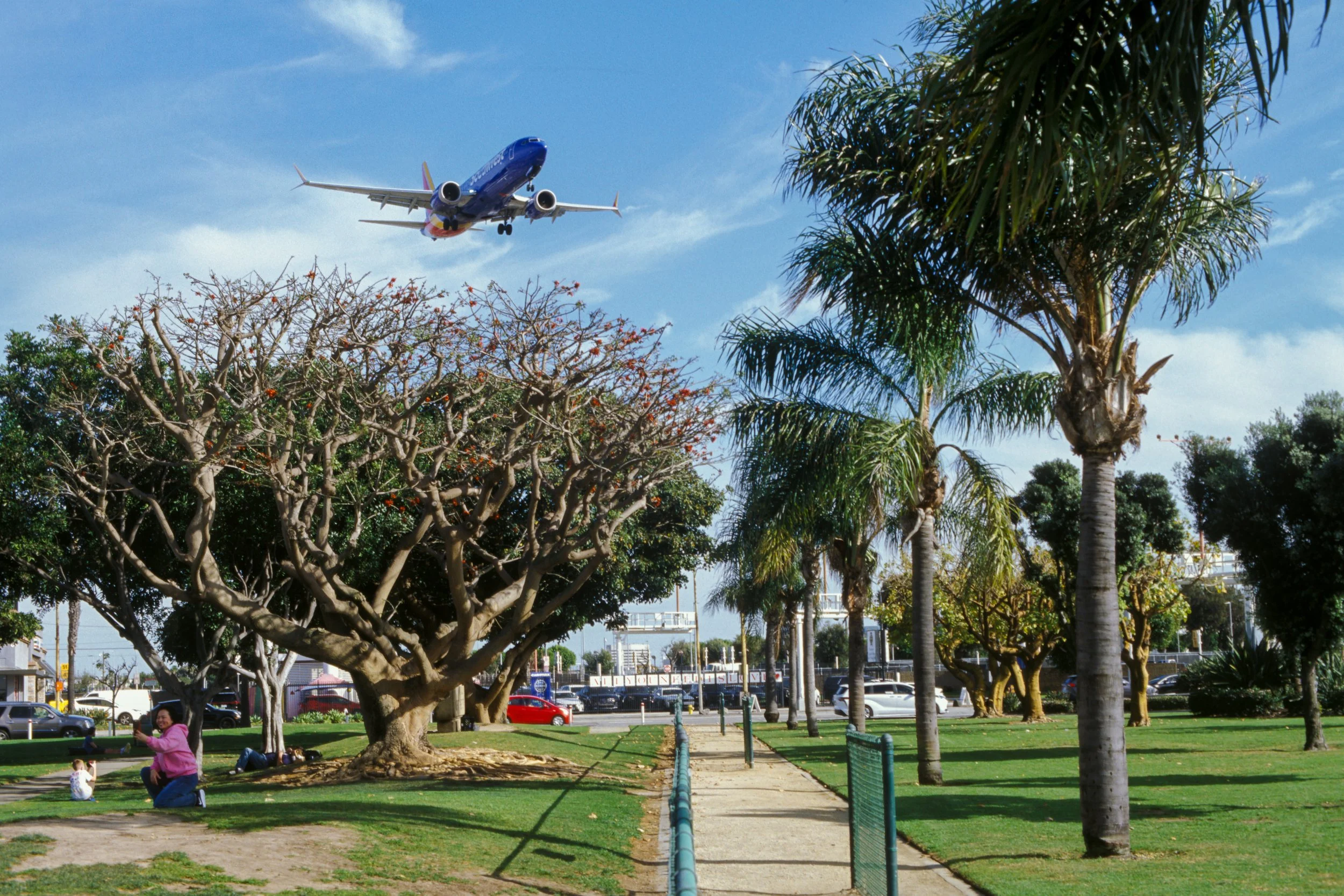 Airplane Landing View Point, Los Angeles, CA. 2026.
