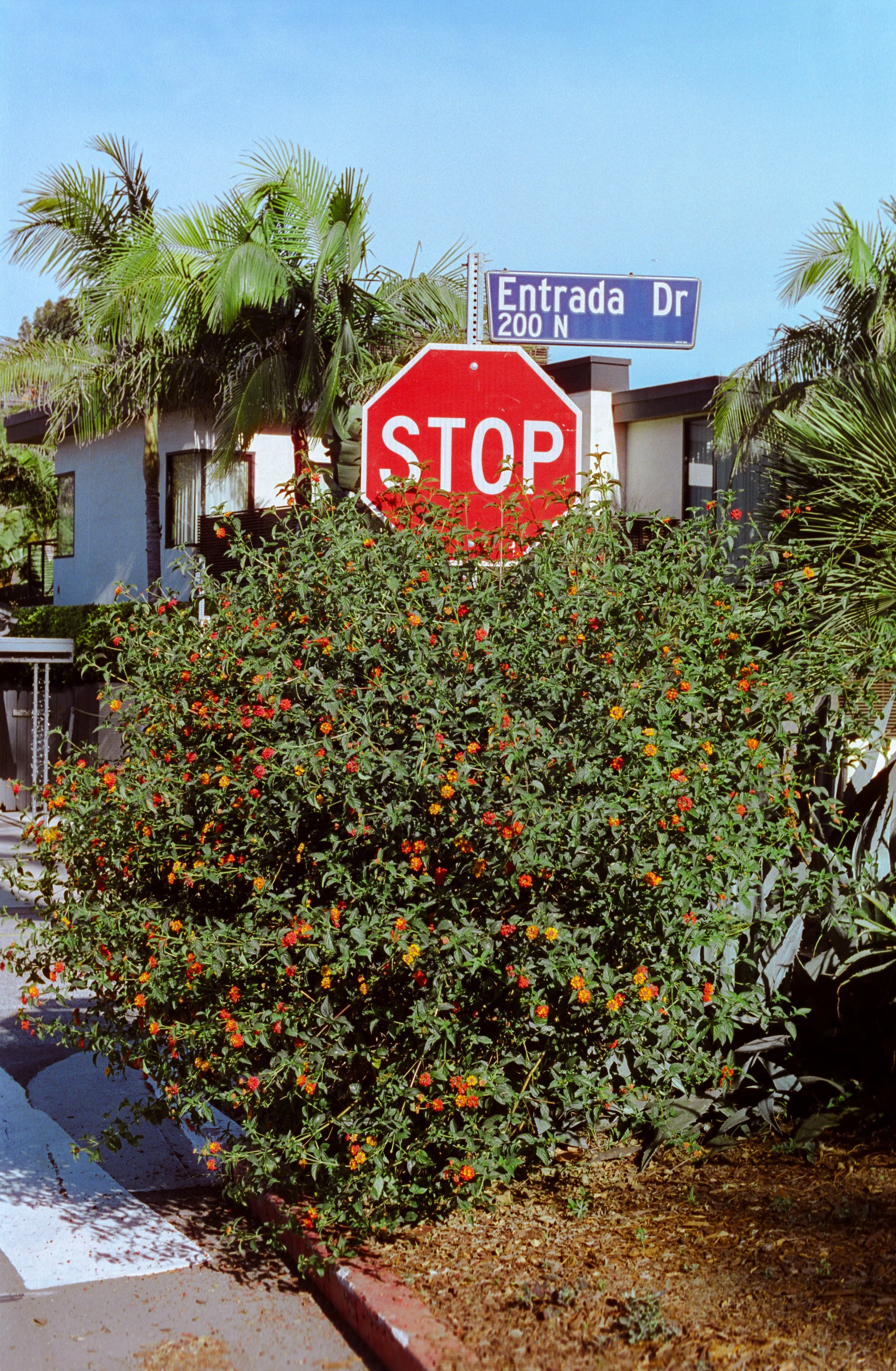 Santa Monica, CA. 2026.