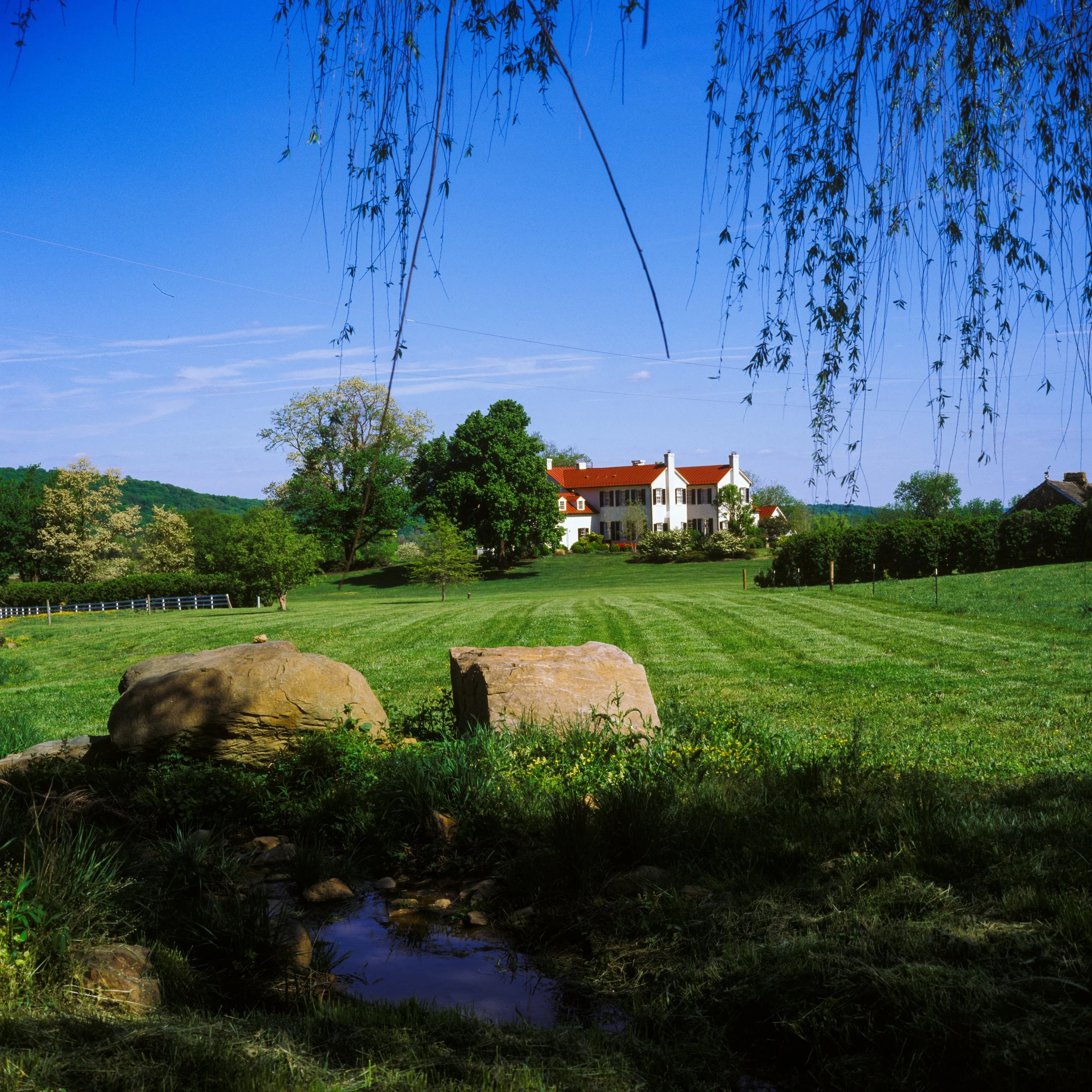 Ovoka Wagyu Farm, VA. 2026.