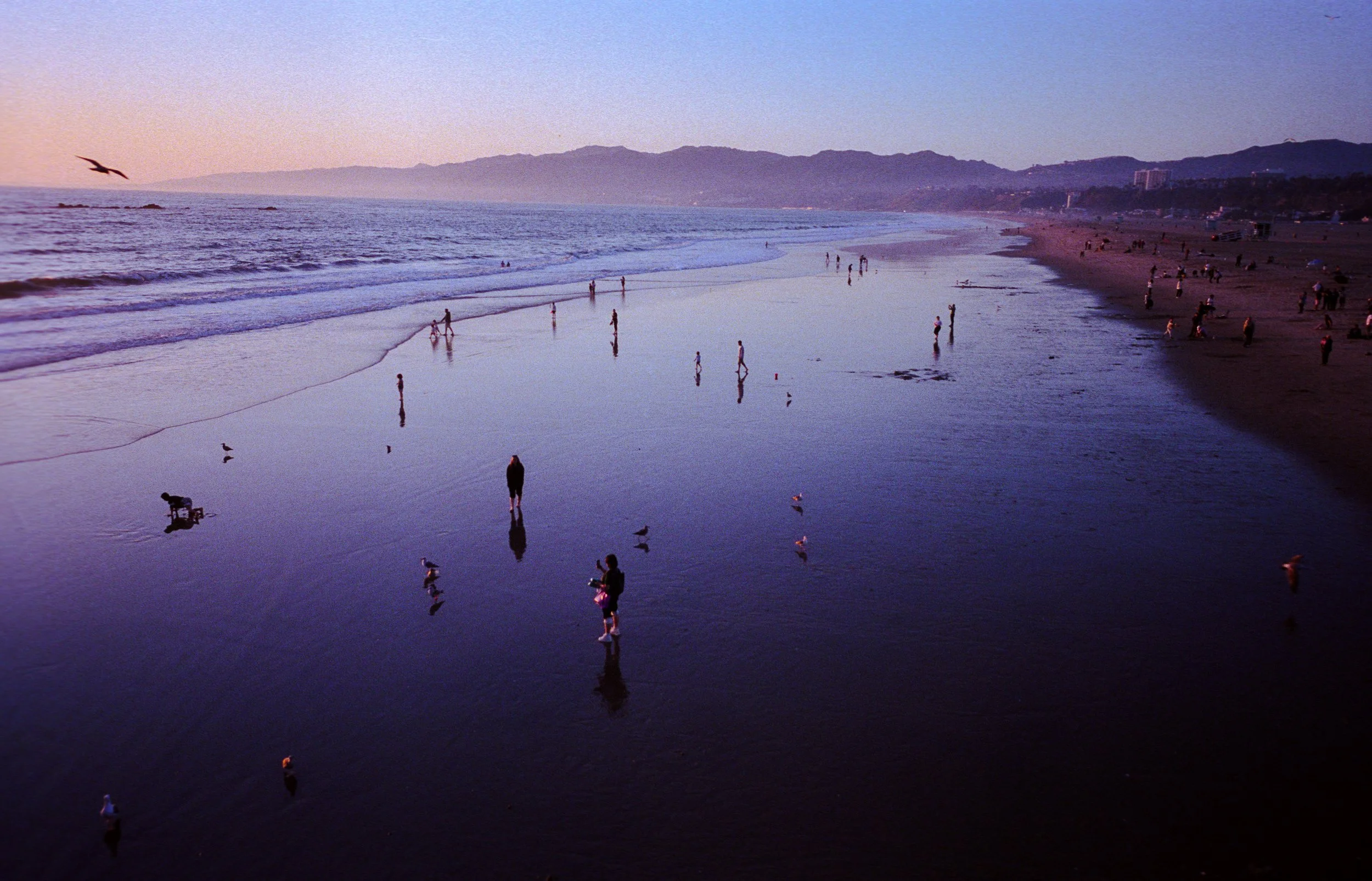 Santa Monica, CA. 2026.