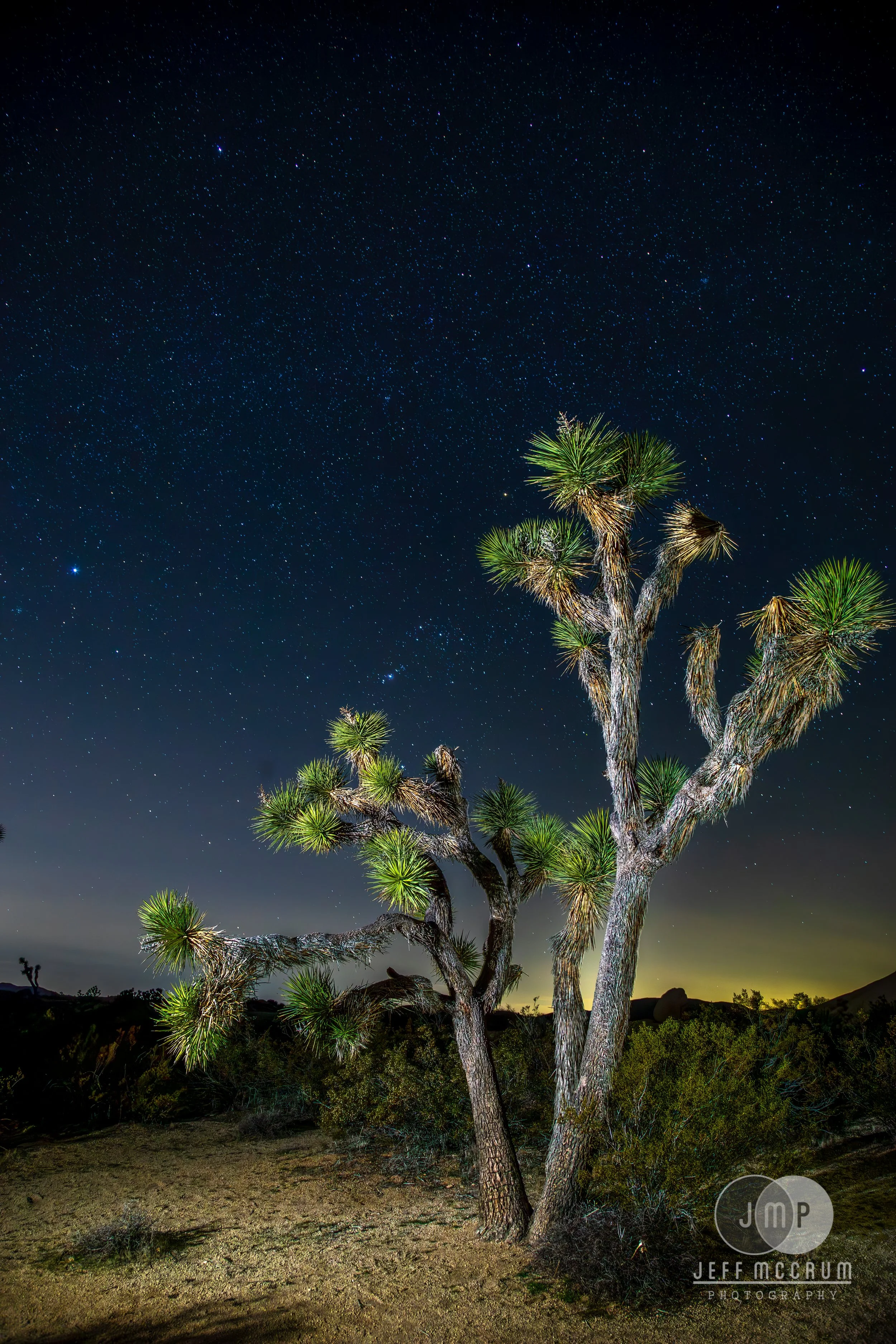 Joshua Tree-95-Enhanced-NR-Edit.jpg