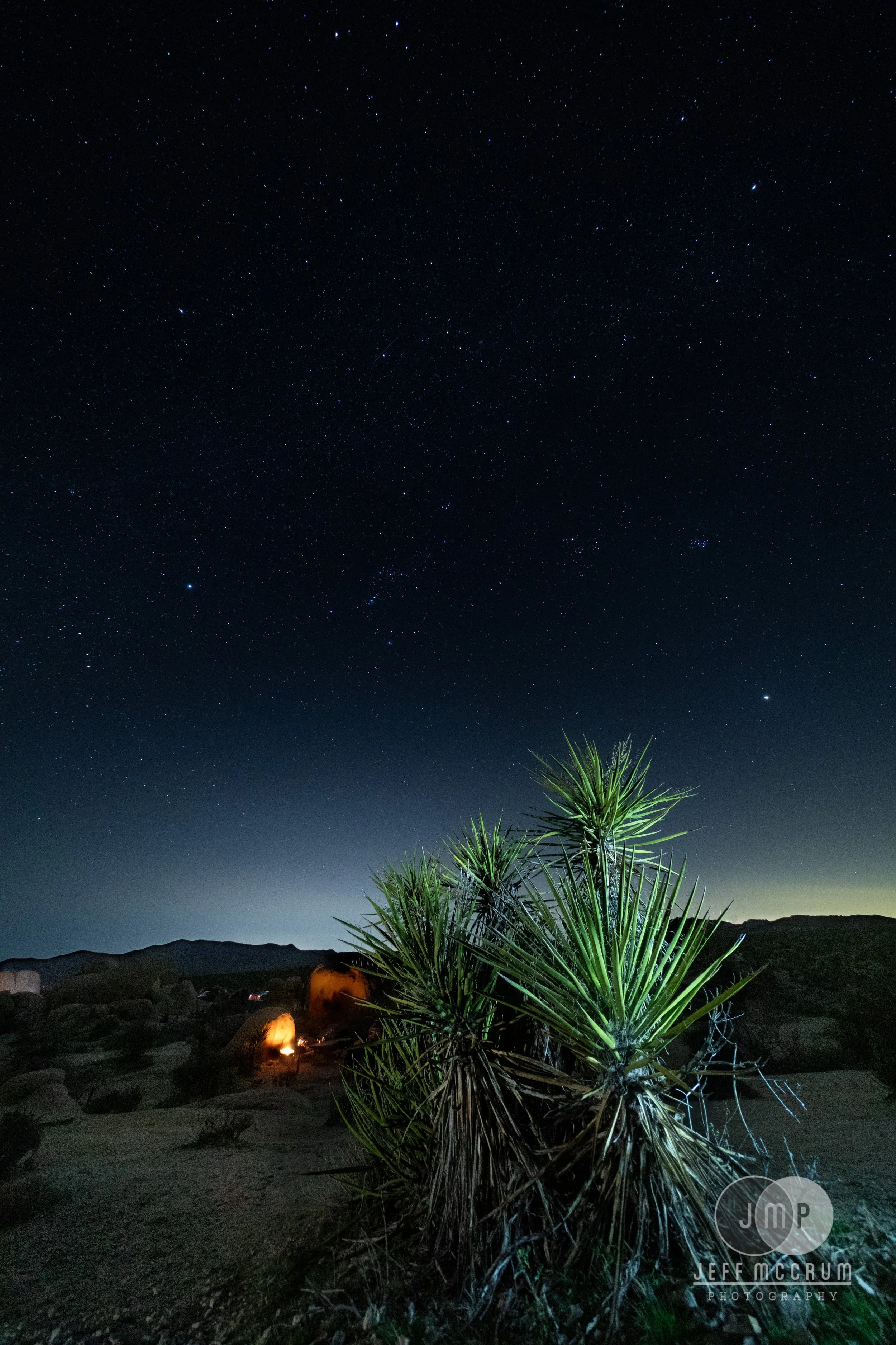 Joshua Tree-51-Edit.jpg