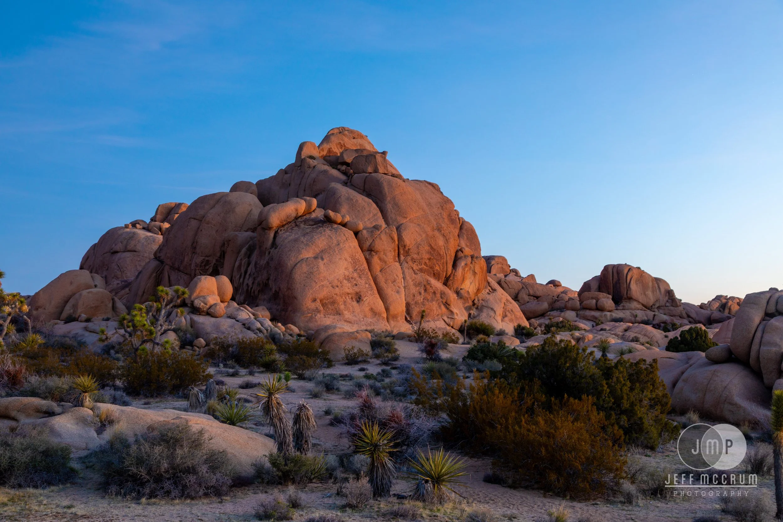 Joshua Tree-234.jpg
