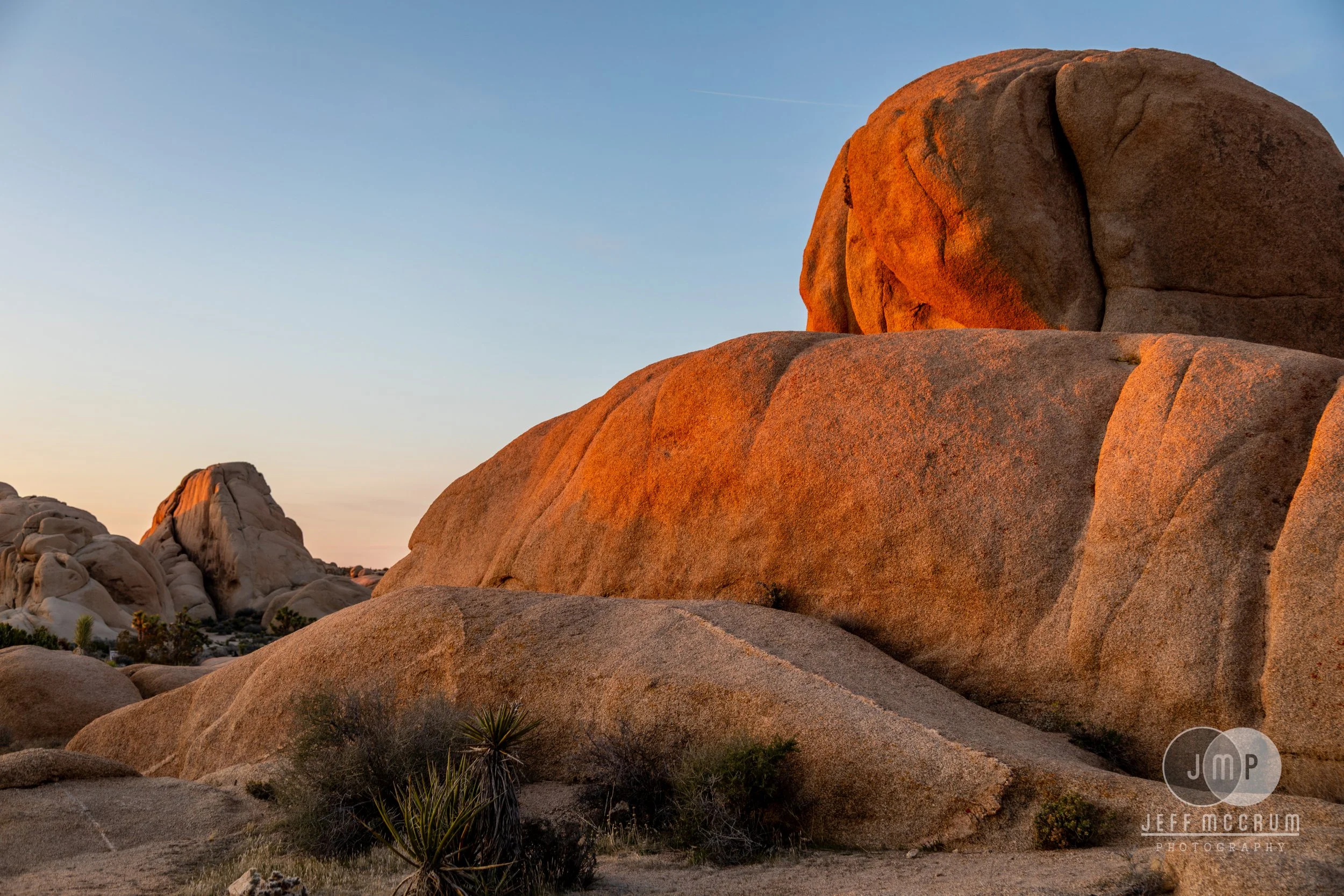 Joshua Tree-280.jpg