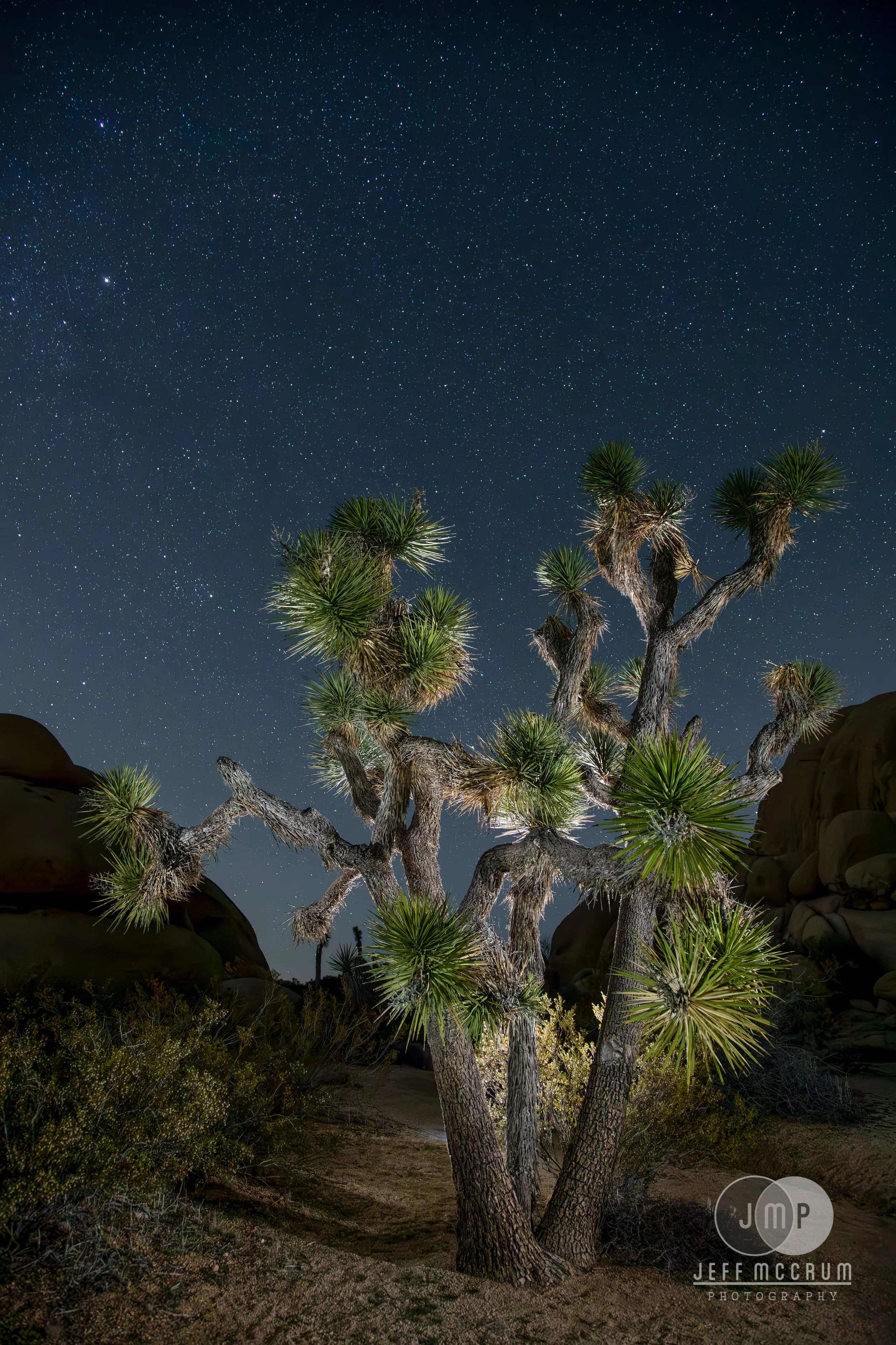 Joshua Tree-83-Enhanced-NR-Edit.jpg