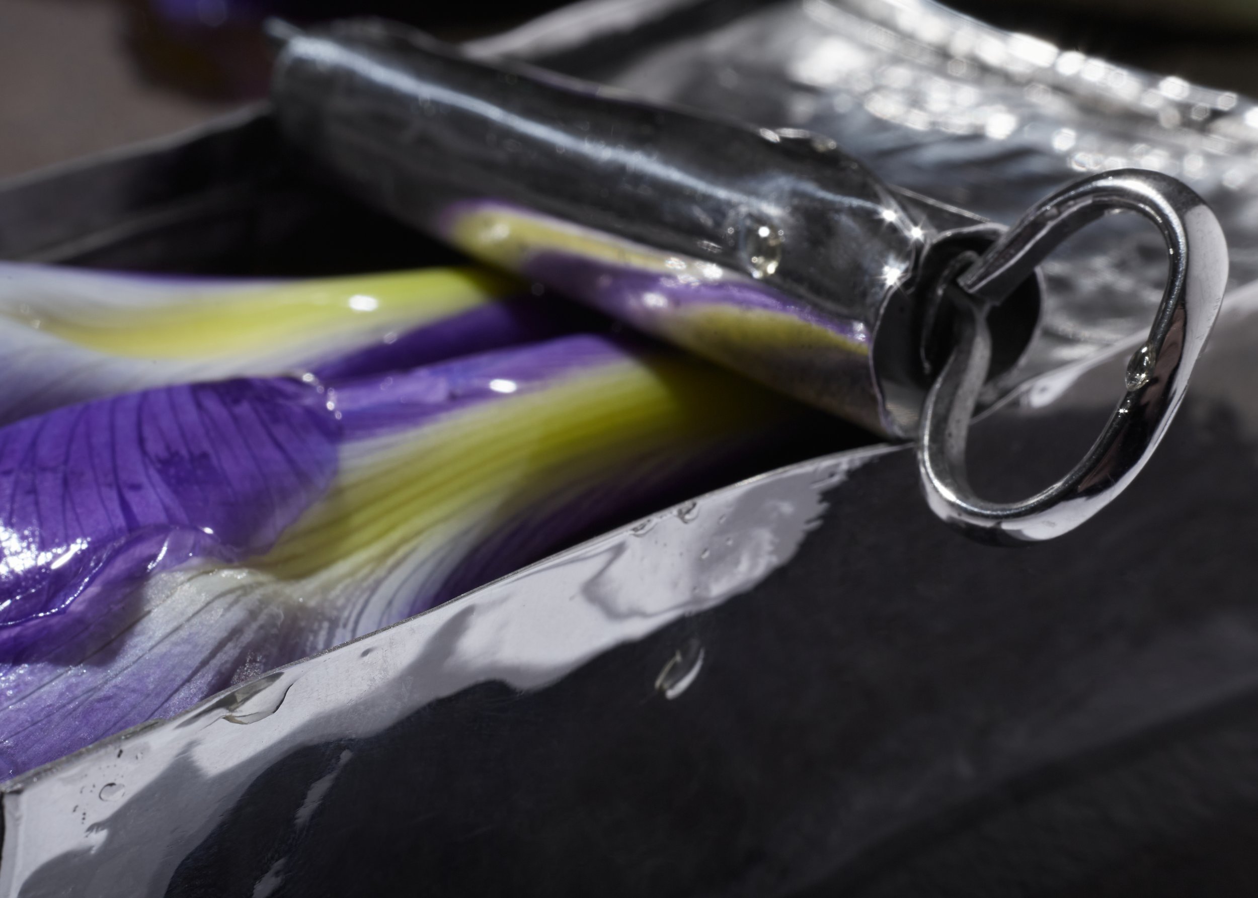 sardine detail 7431.jpg