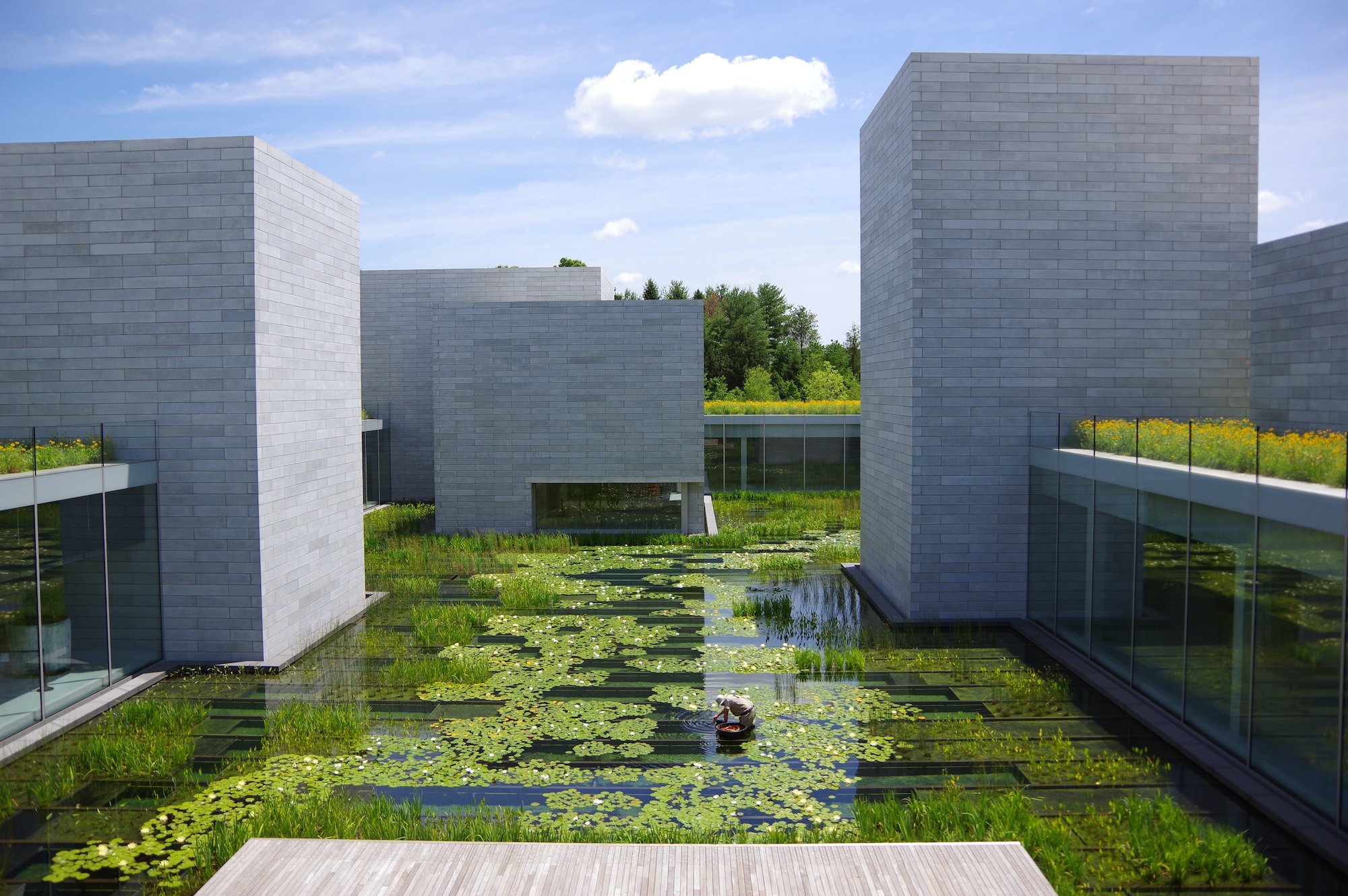 Glenstone Sculpture Park, USA