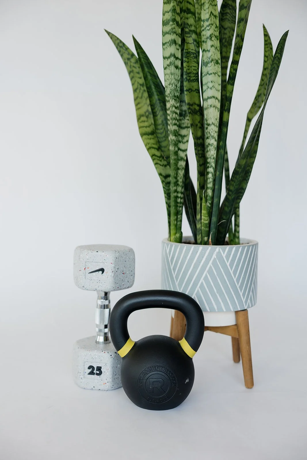 Weights and kettlebell with decorative plant in physical therapy clinic in Columbia, MO