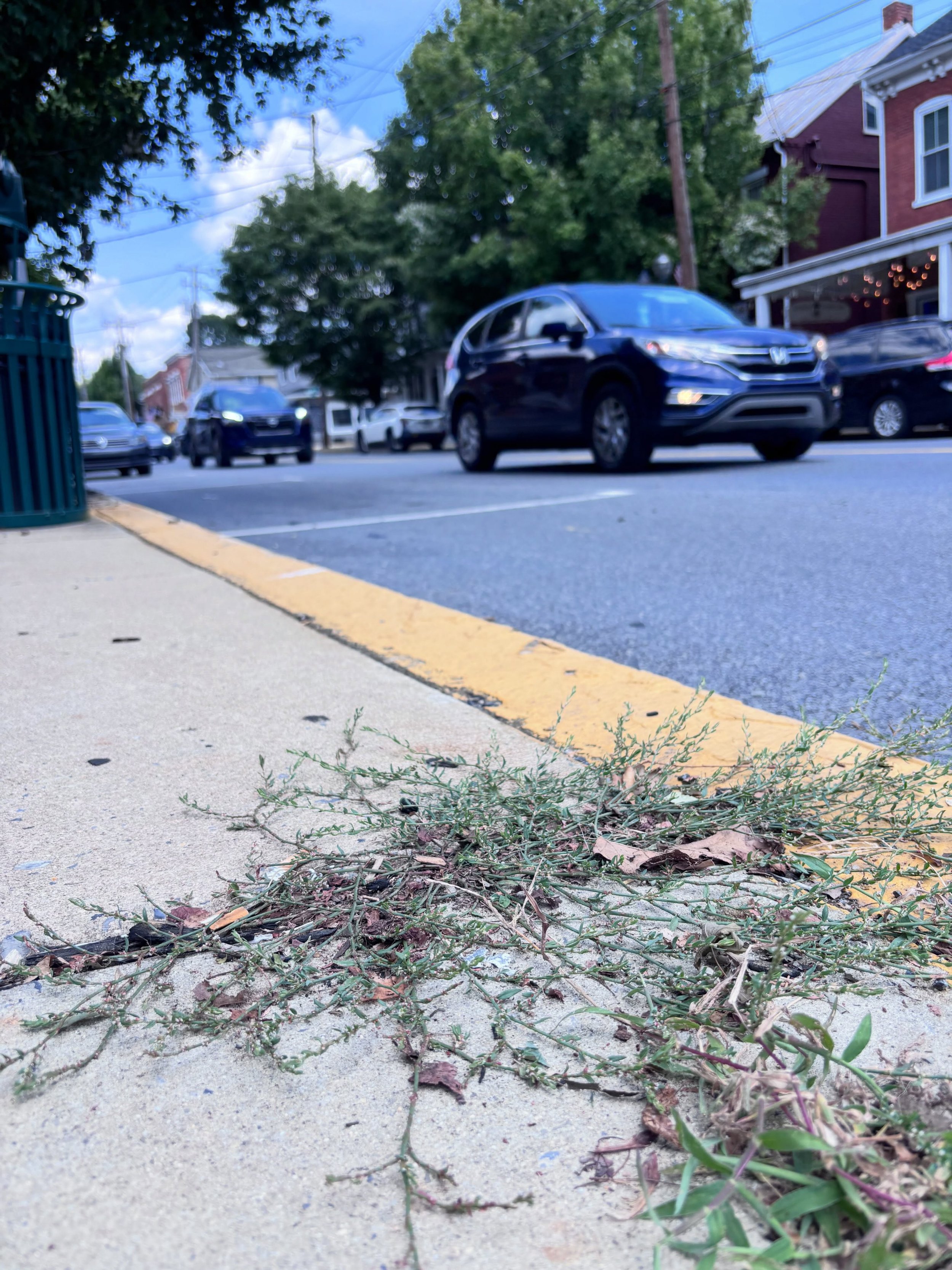 I am thankful for sidewalks. Have you ever said that?

If you have epilepsy, like me, you most likely have.

Not having a driver&rsquo;s license changes your perspective and forces you to think about your transportation options.

Had I not been brave
