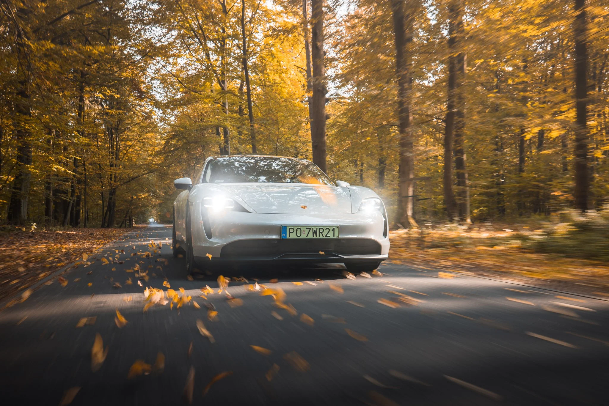 A silver sports car driving through a forested road surrounded by fall/autumn trees with yellow and orange leaves, some leaves falling on the road.