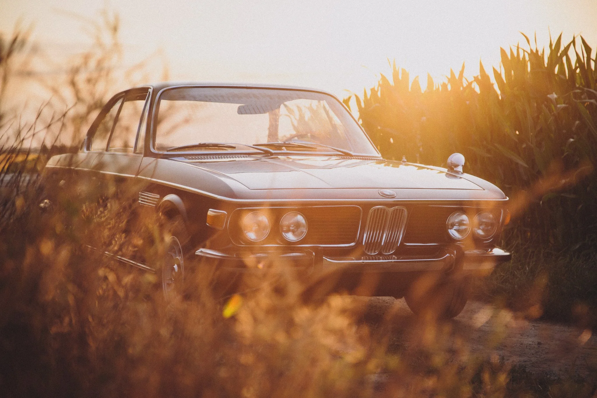 Vintage black BMW car parked on a dirt path surrounded by tall grass and plants, with the sun setting in the background.