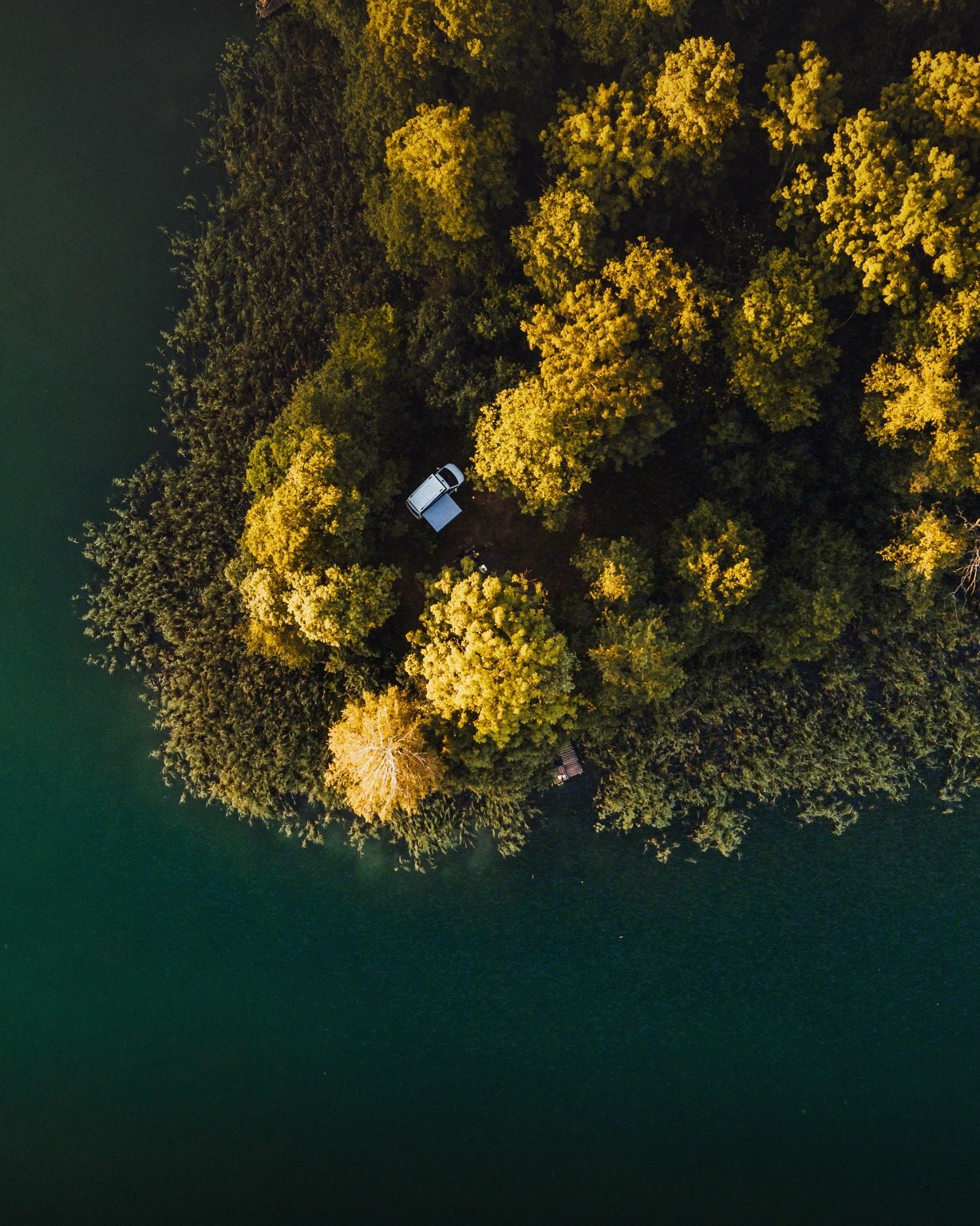 An aerial view of a small, tree-covered island surrounded by dark water, with a white camper van parked among the trees.