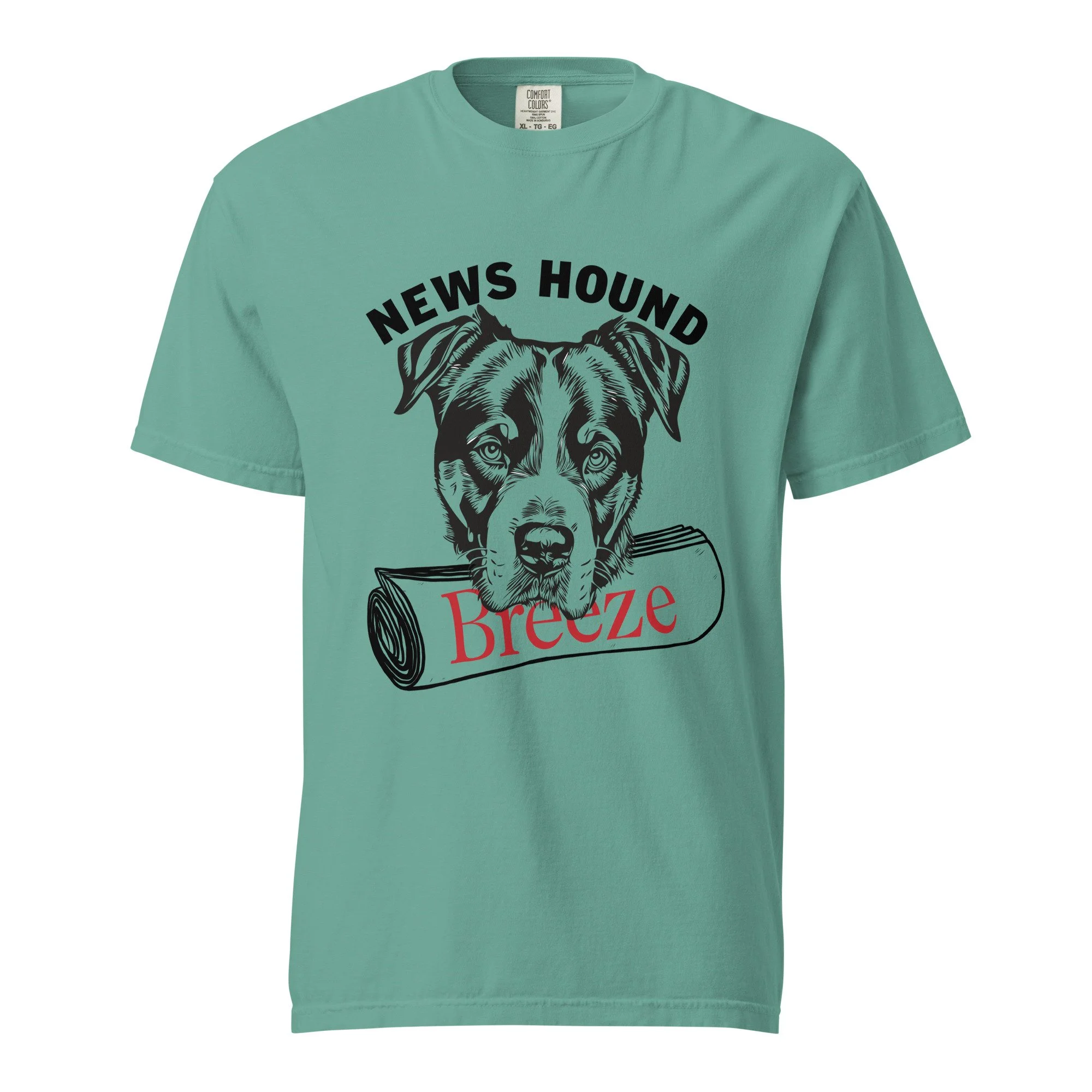 unisex-garment-dyed-heavyweight-t-shirt-seafoam-front-6637d3ddf09b9.jpg