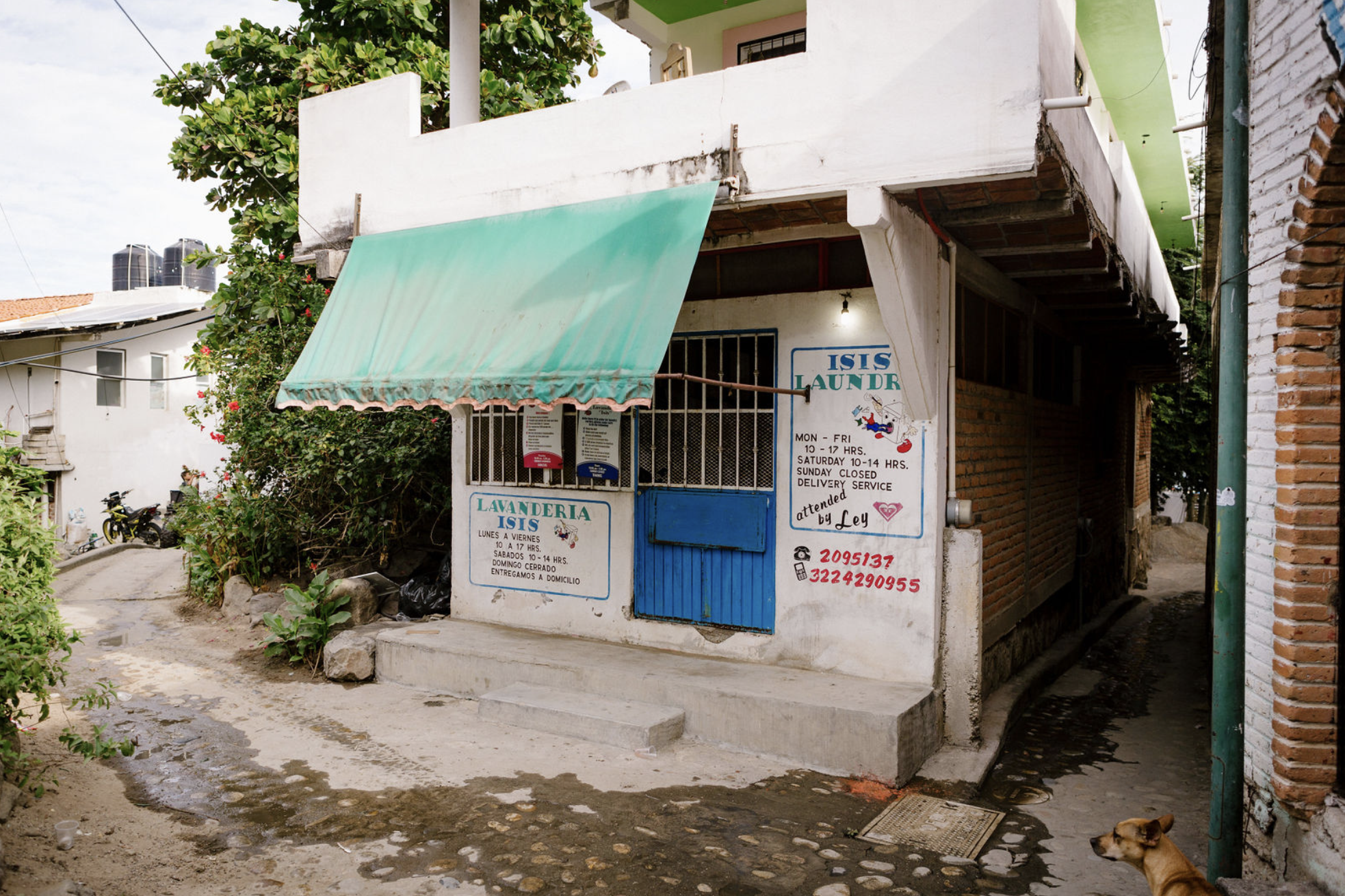 local laundry service