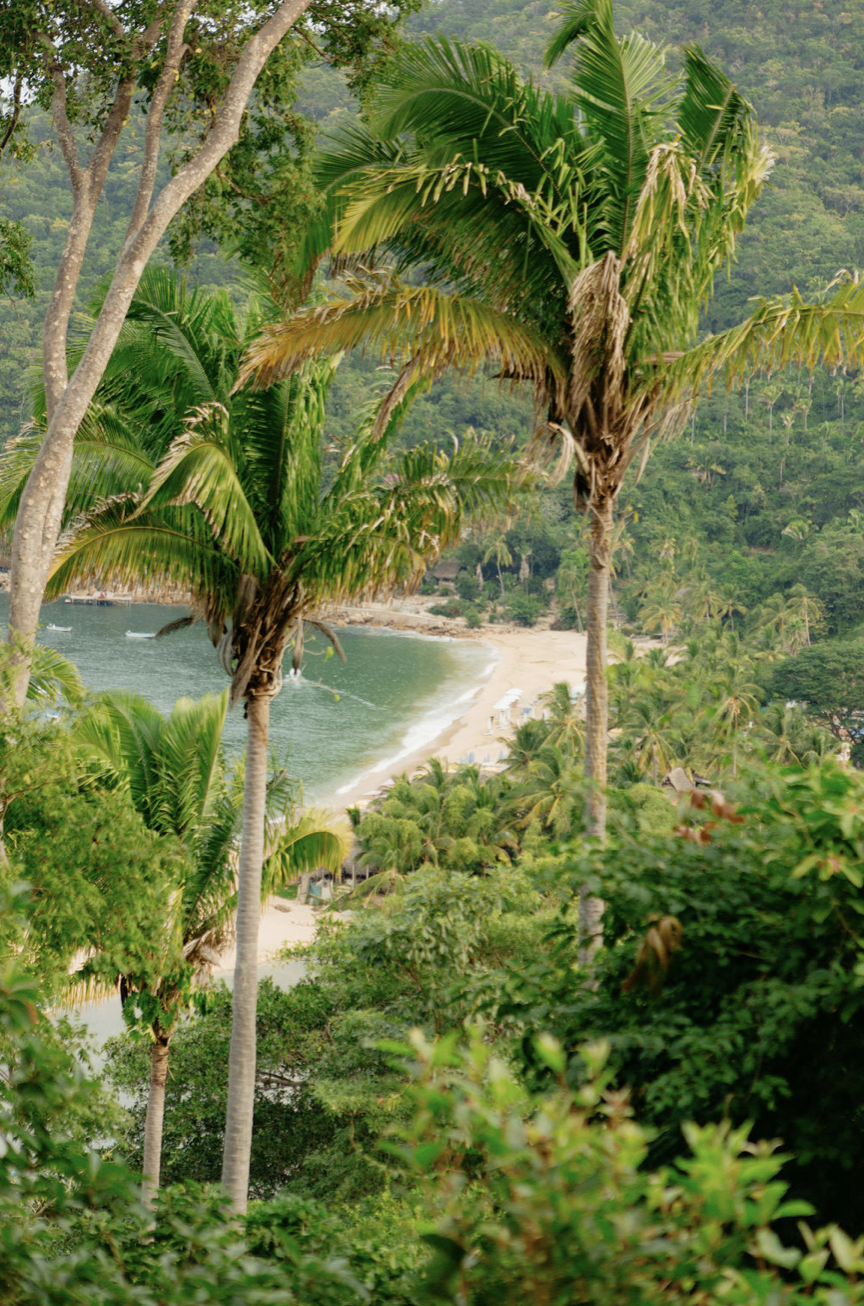 view from the local ashram