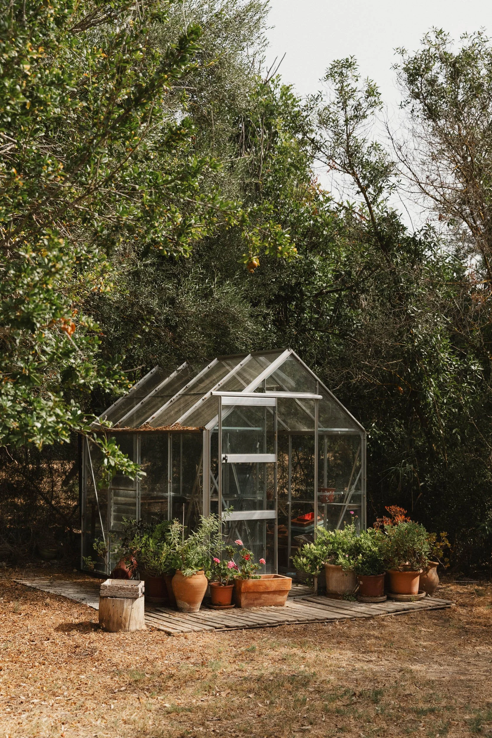 sarraco-finca-mallorca-3.JPG