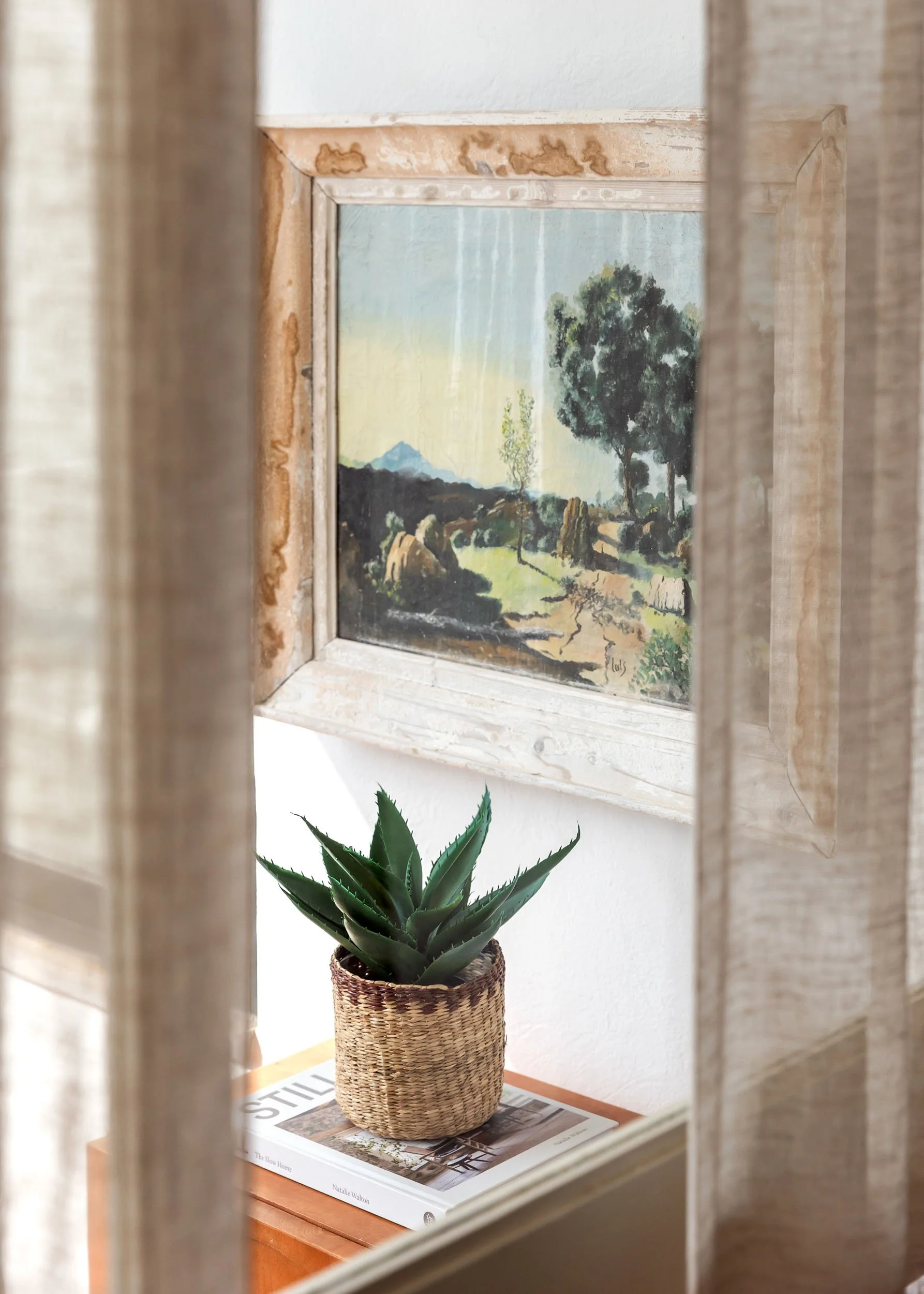 Window detail with framed artwork and outdoor plant
