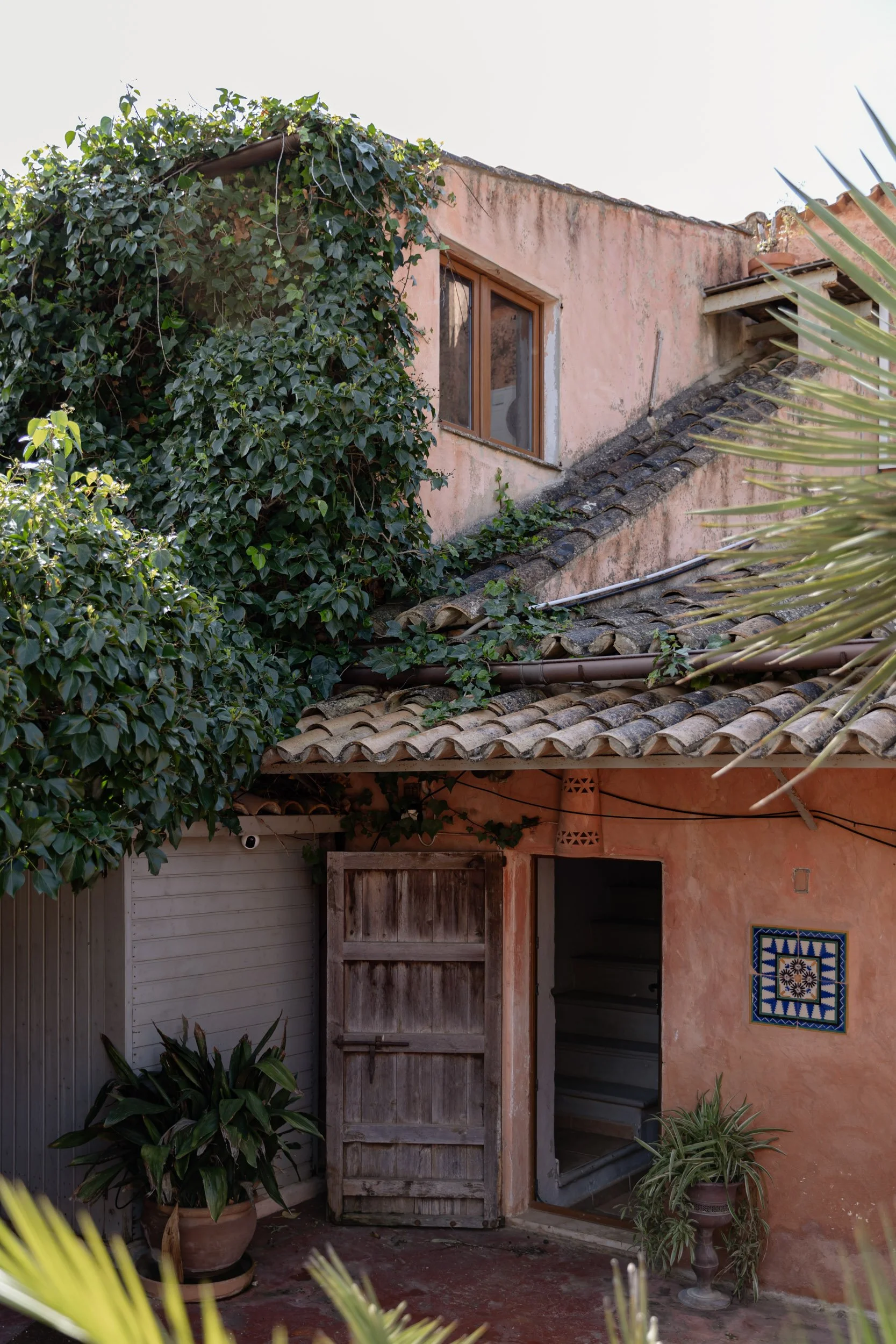 Ivy covered rustic peach outbuilding overlooking a private garden patio with palm accents.