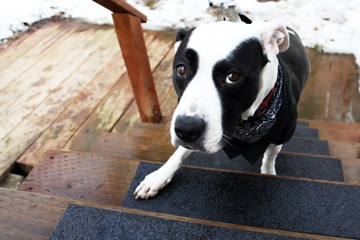 LavaGrip, Black, 6 x 48 (LGBK0648).jpg