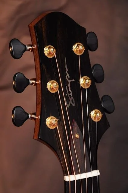 Custom_Guitars_SN-006-9.jpg