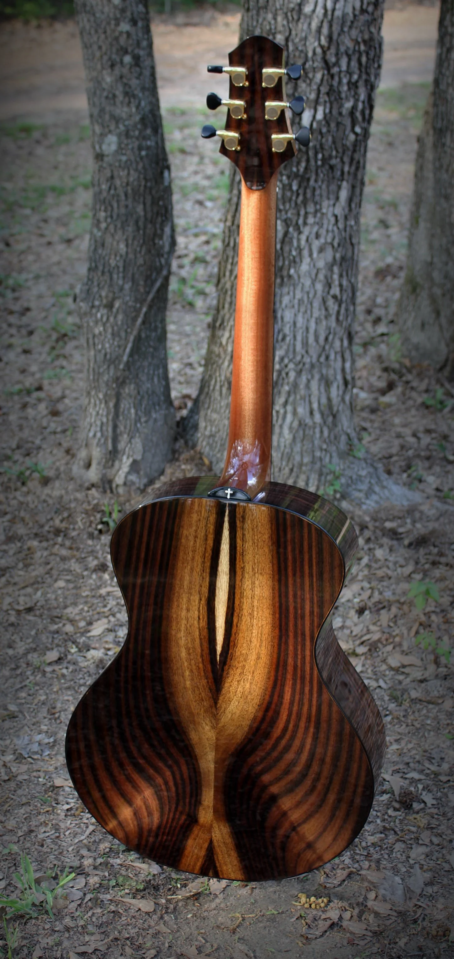 #63 Full back web copy.jpg