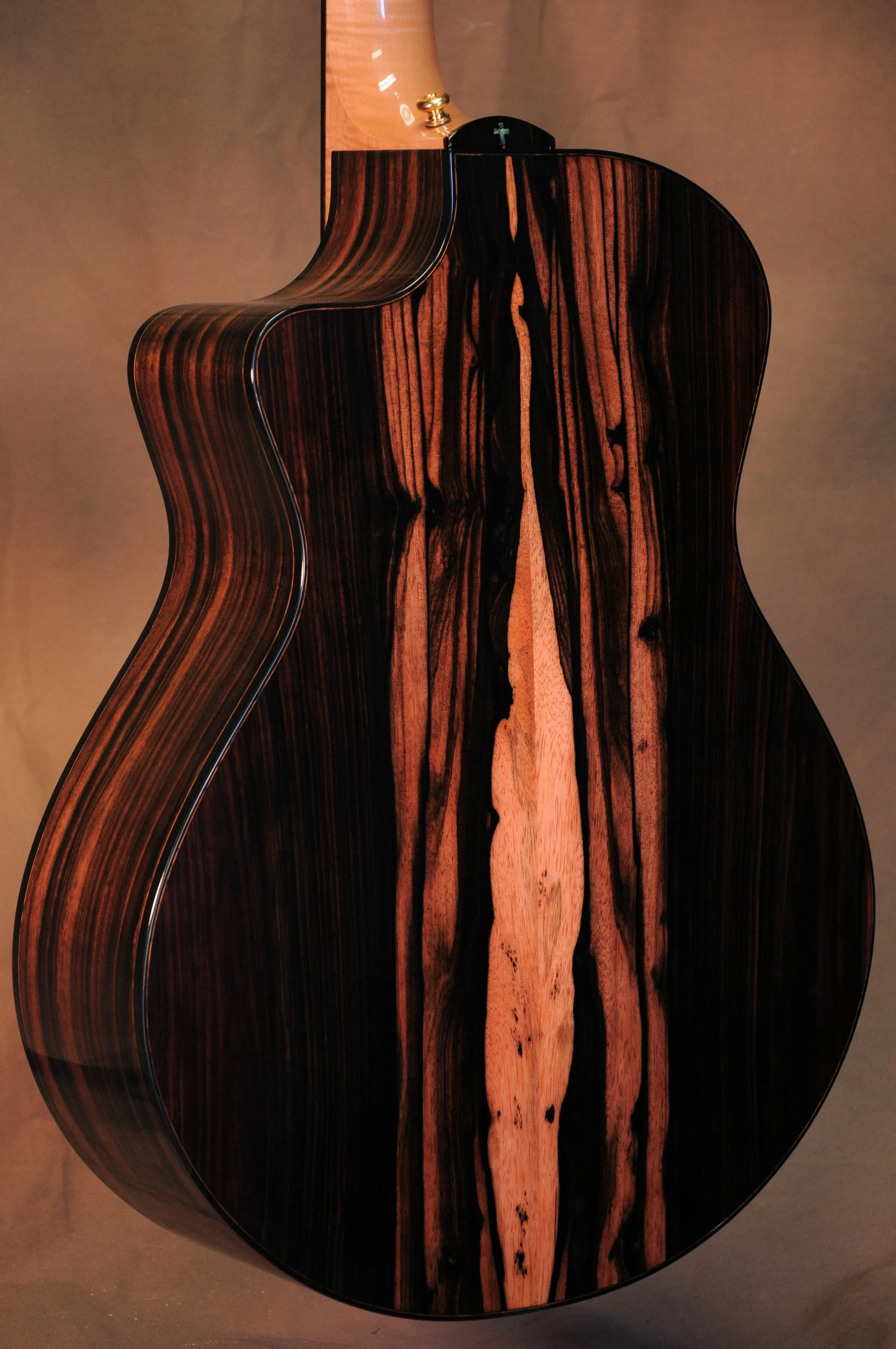 #49 SJ back and side.jpg