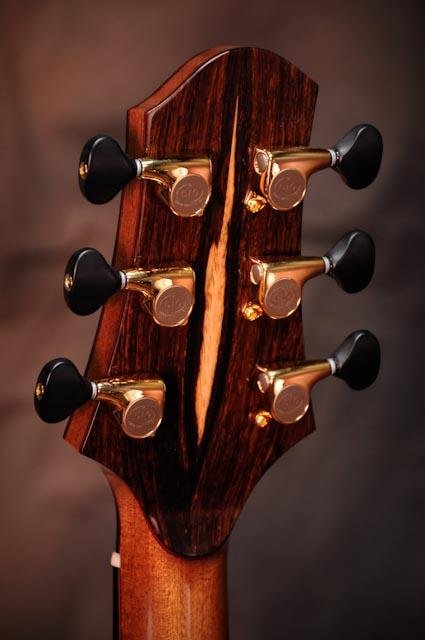 Custom_Guitars_SN-006-10.jpg