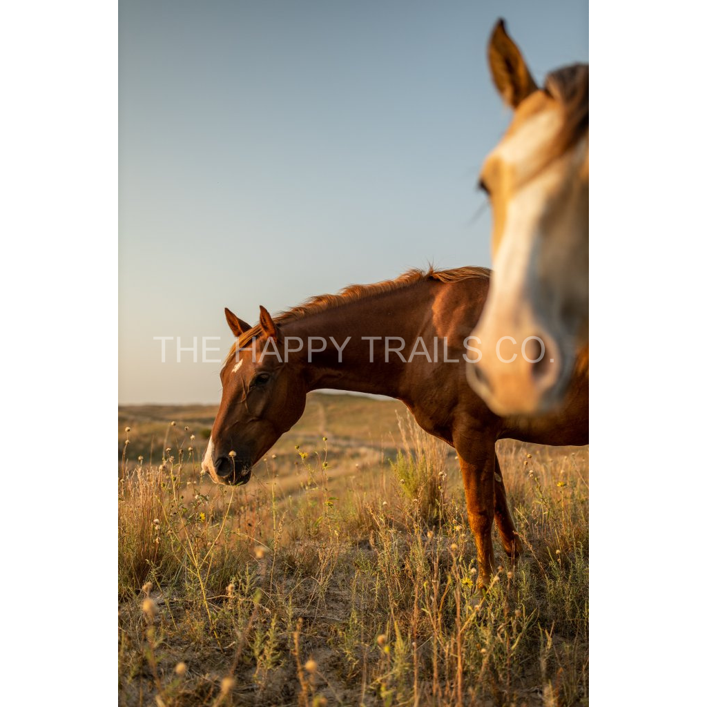 image_original_5ea6d7edb3f0a1fa519a2c337fd70f00.png