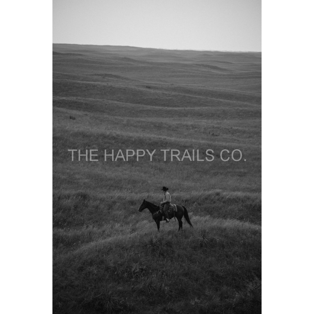 image_original_5ea6d7edb3f0a1fa519a2c337fd70f00.png