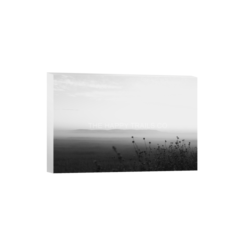 ptq_7_3_0_426_5441_3627_0_false_ffffff_0_0_5ea6d7edb3f0a1fa519a2c337fd70f00.png