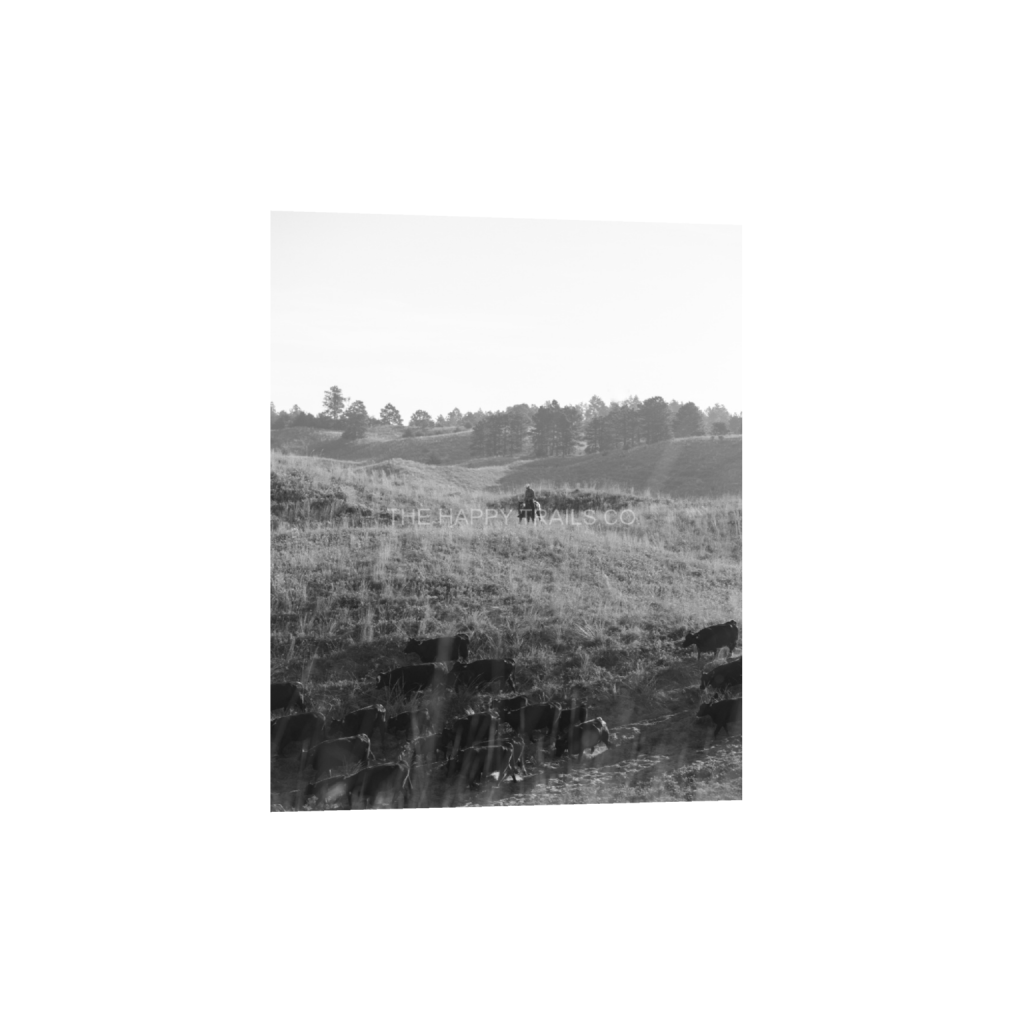 ptq_1_6_0_456_3648_4560_0_false_ffffff_0_0_5ea6d7edb3f0a1fa519a2c337fd70f00.png