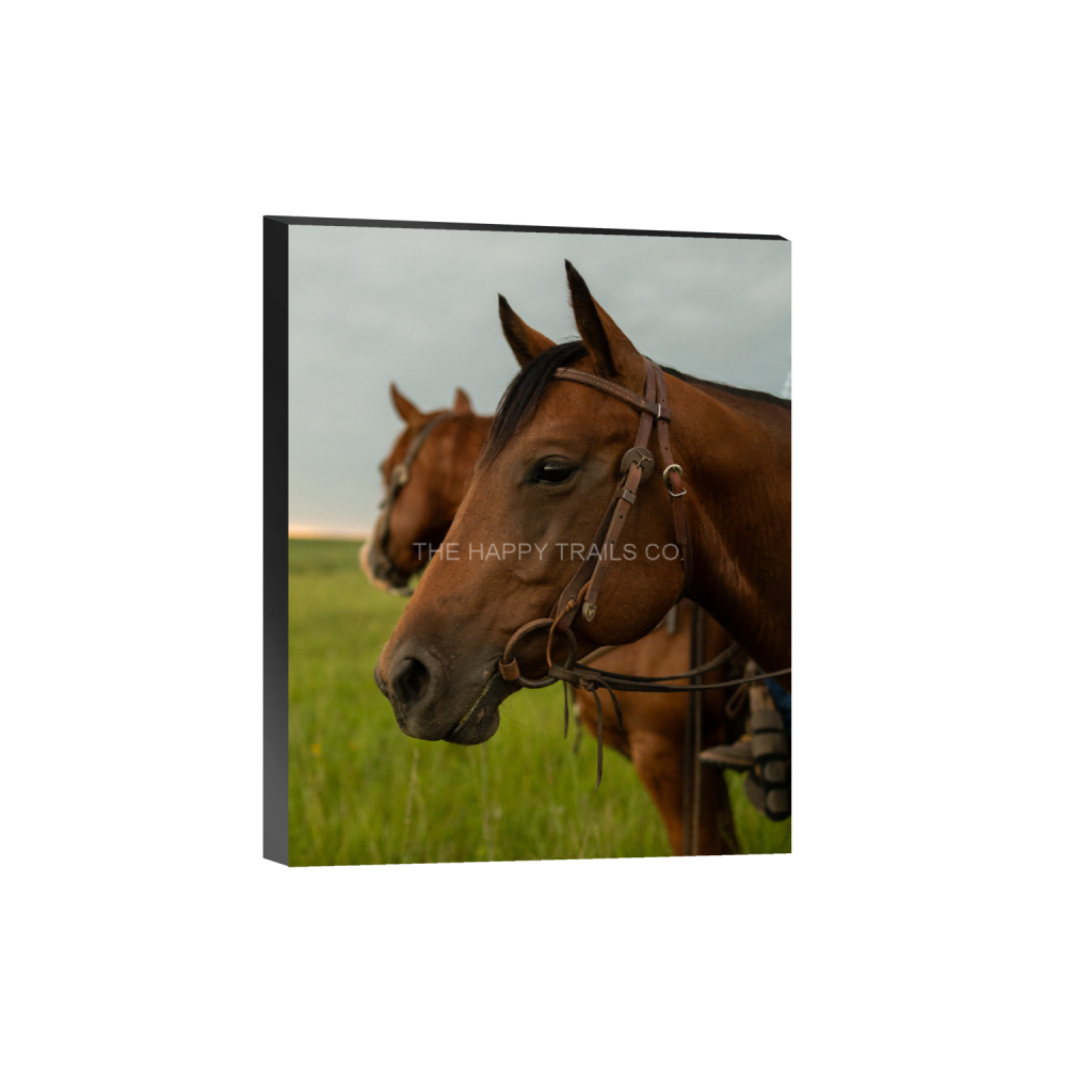 ptq_32_6_0_319_2557_3196_0_false_ffffff_0_0_5ea6d7edb3f0a1fa519a2c337fd70f00.png
