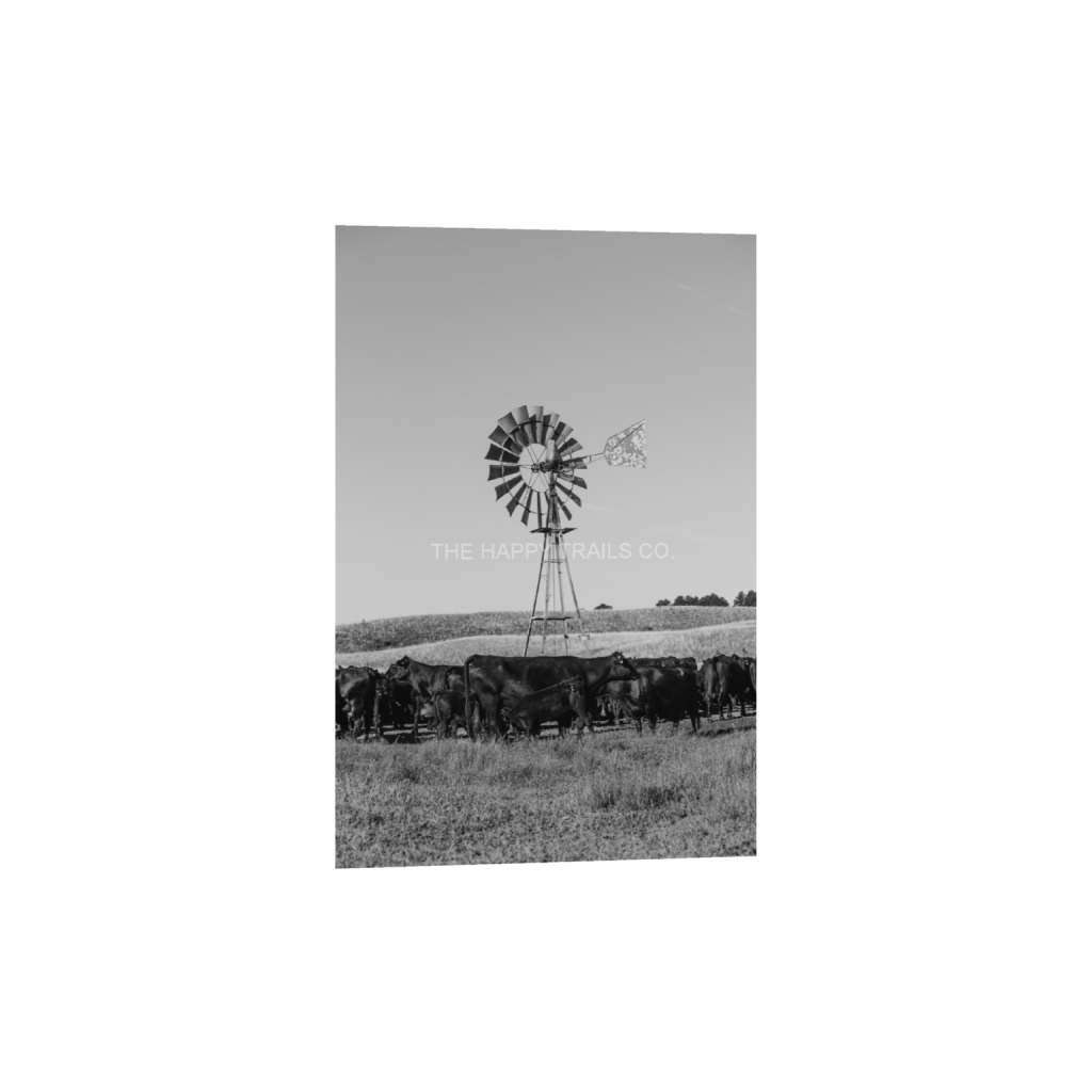 ptq_1_3_0_0_3648_5472_0_false_ffffff_0_0_5ea6d7edb3f0a1fa519a2c337fd70f00.png