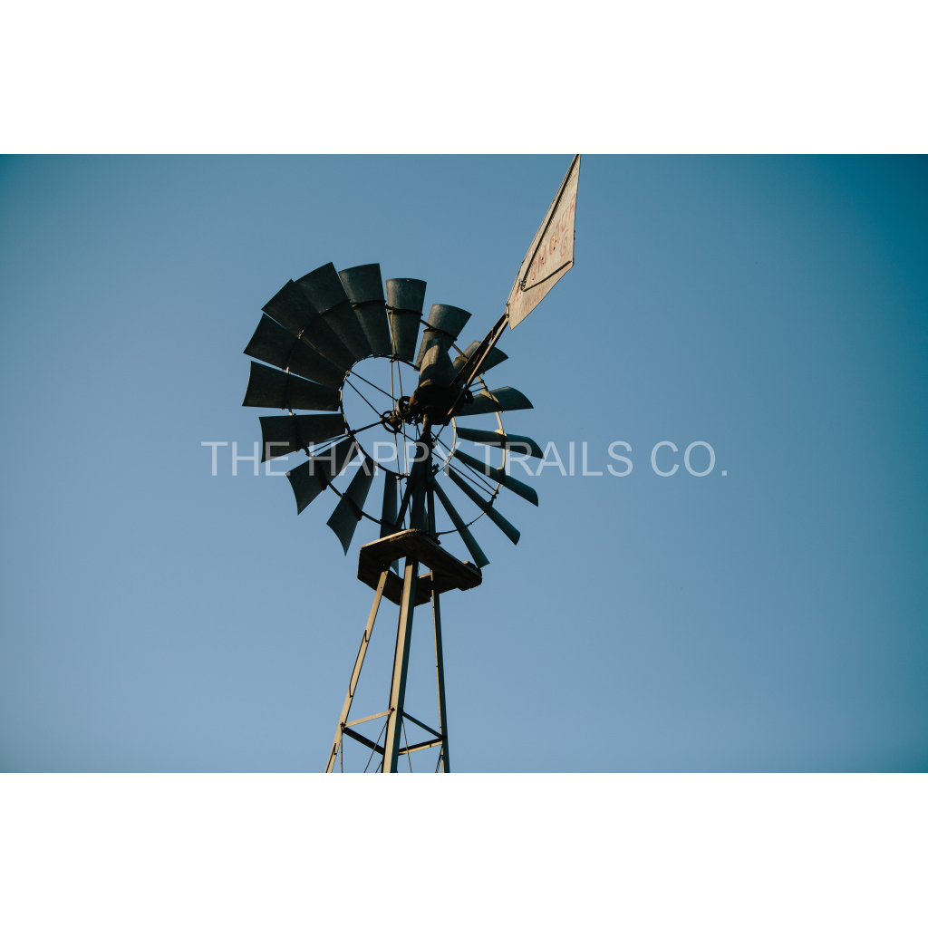 image_original_5ea6d7edb3f0a1fa519a2c337fd70f00.png