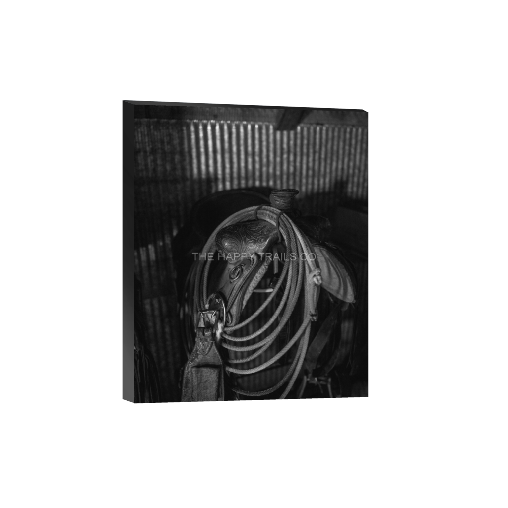 ptq_32_6_0_170_1365_1706_0_false_ffffff_0_0_5ea6d7edb3f0a1fa519a2c337fd70f00.png