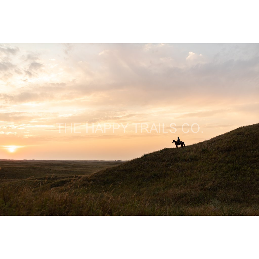 image_original_5ea6d7edb3f0a1fa519a2c337fd70f00.png