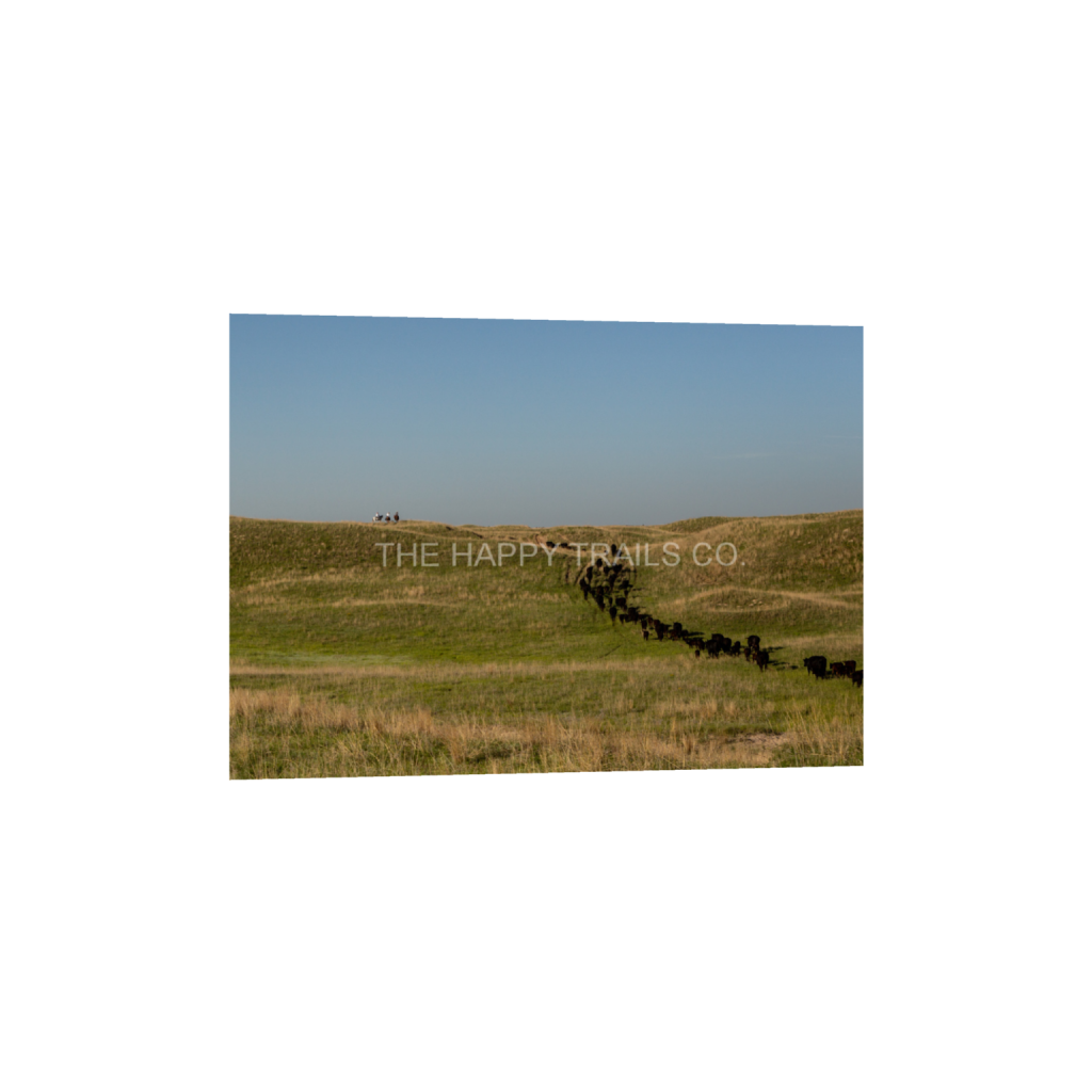 ptq_1_7_152_0_4265_3047_0_false_ffffff_0_0_5ea6d7edb3f0a1fa519a2c337fd70f00.png
