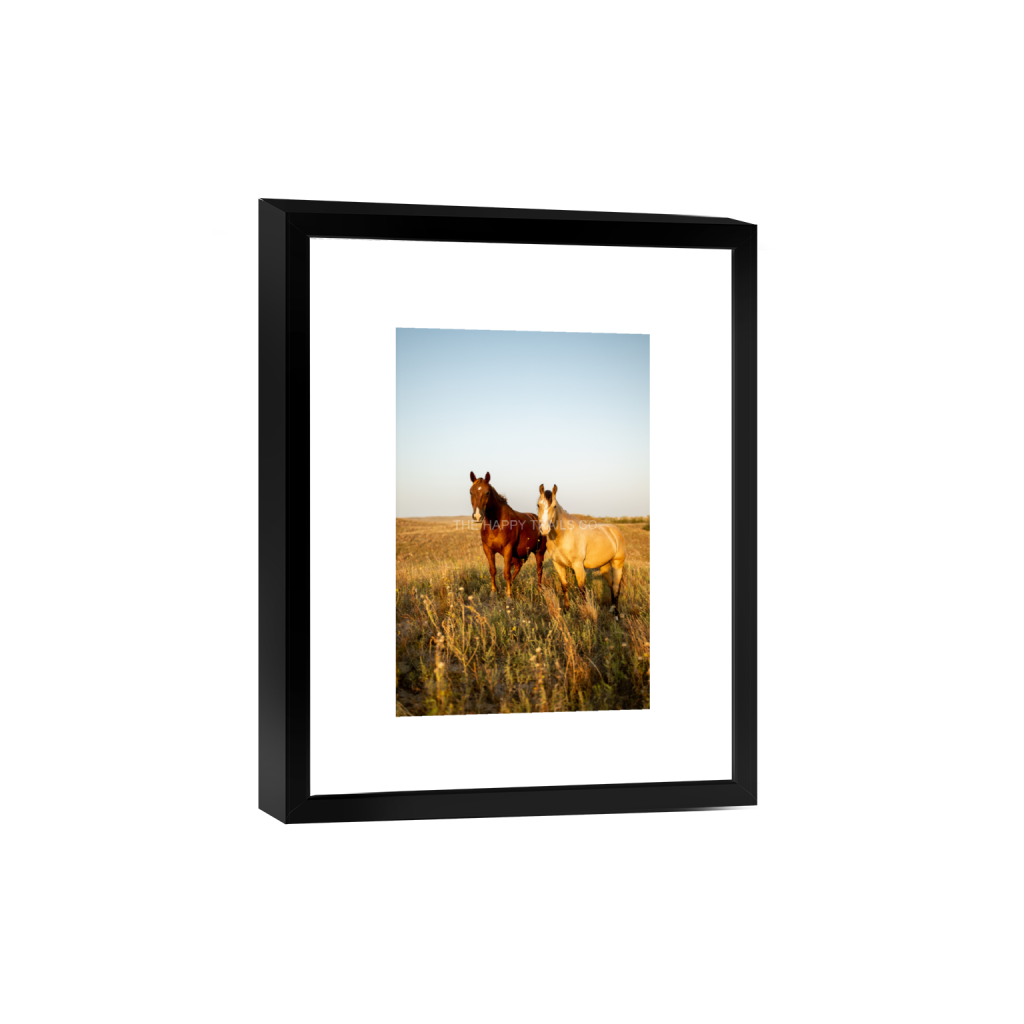 ptq_45_3_0_0_1365_2047_0_false_ffffff_0_0_5ea6d7edb3f0a1fa519a2c337fd70f00.png