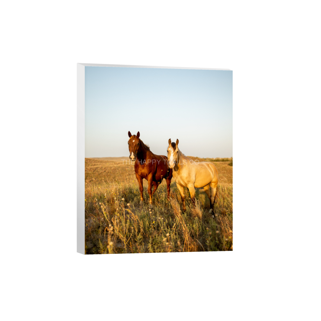 ptq_7_6_0_170_1365_1706_0_false_ffffff_0_0_5ea6d7edb3f0a1fa519a2c337fd70f00.png