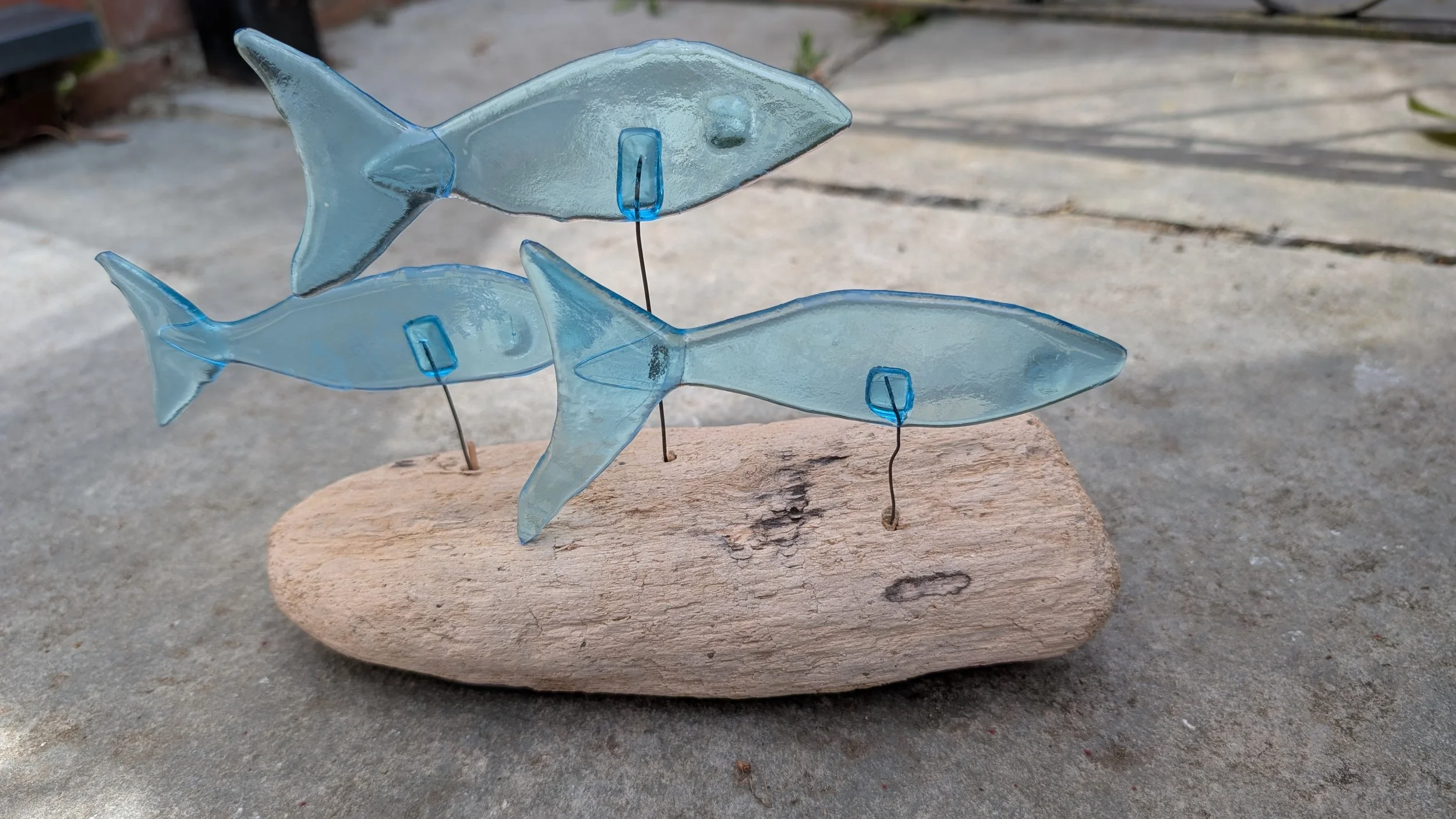 fish on driftwood, £15