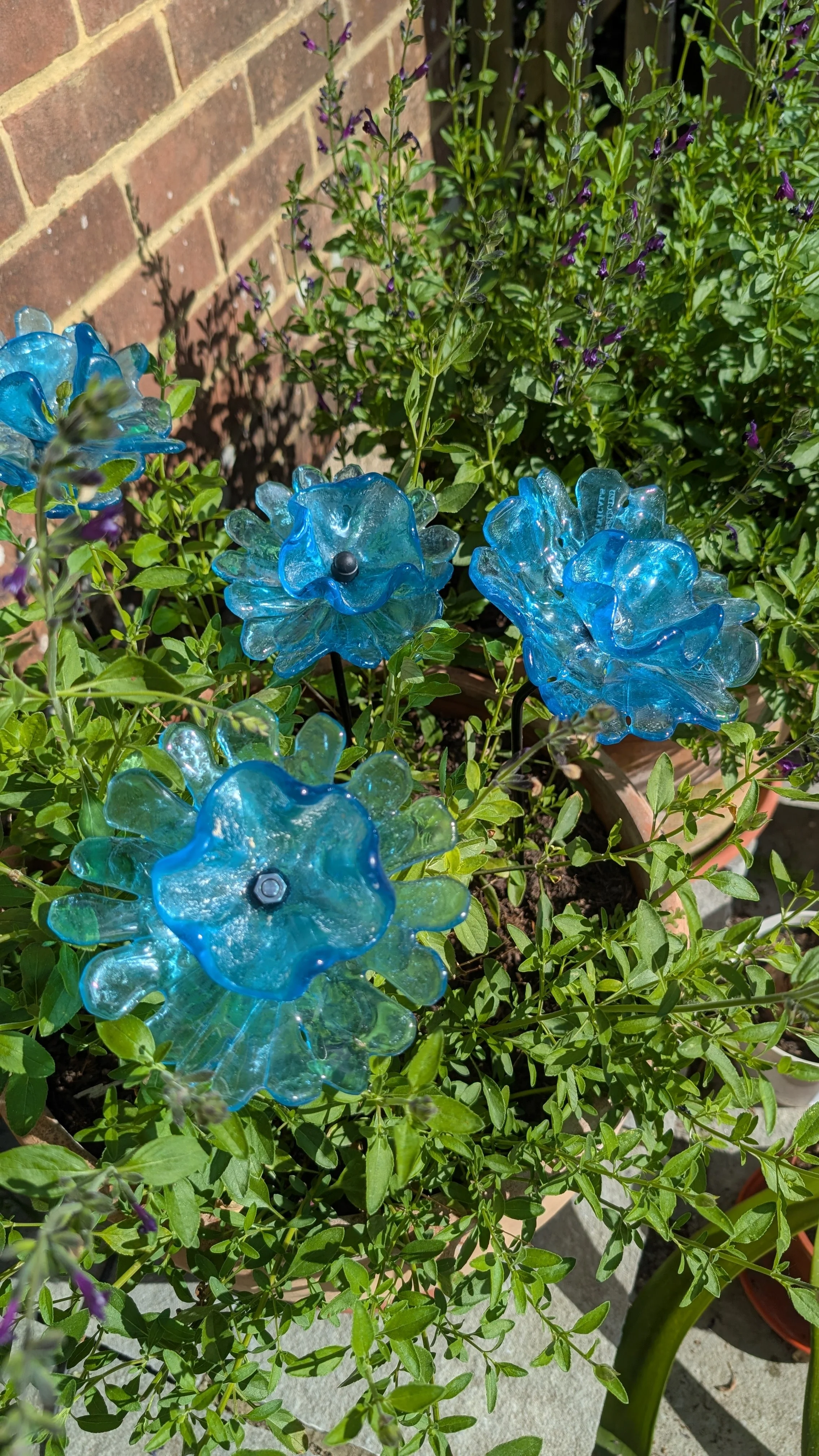 double poppy, stem 35cm, £17