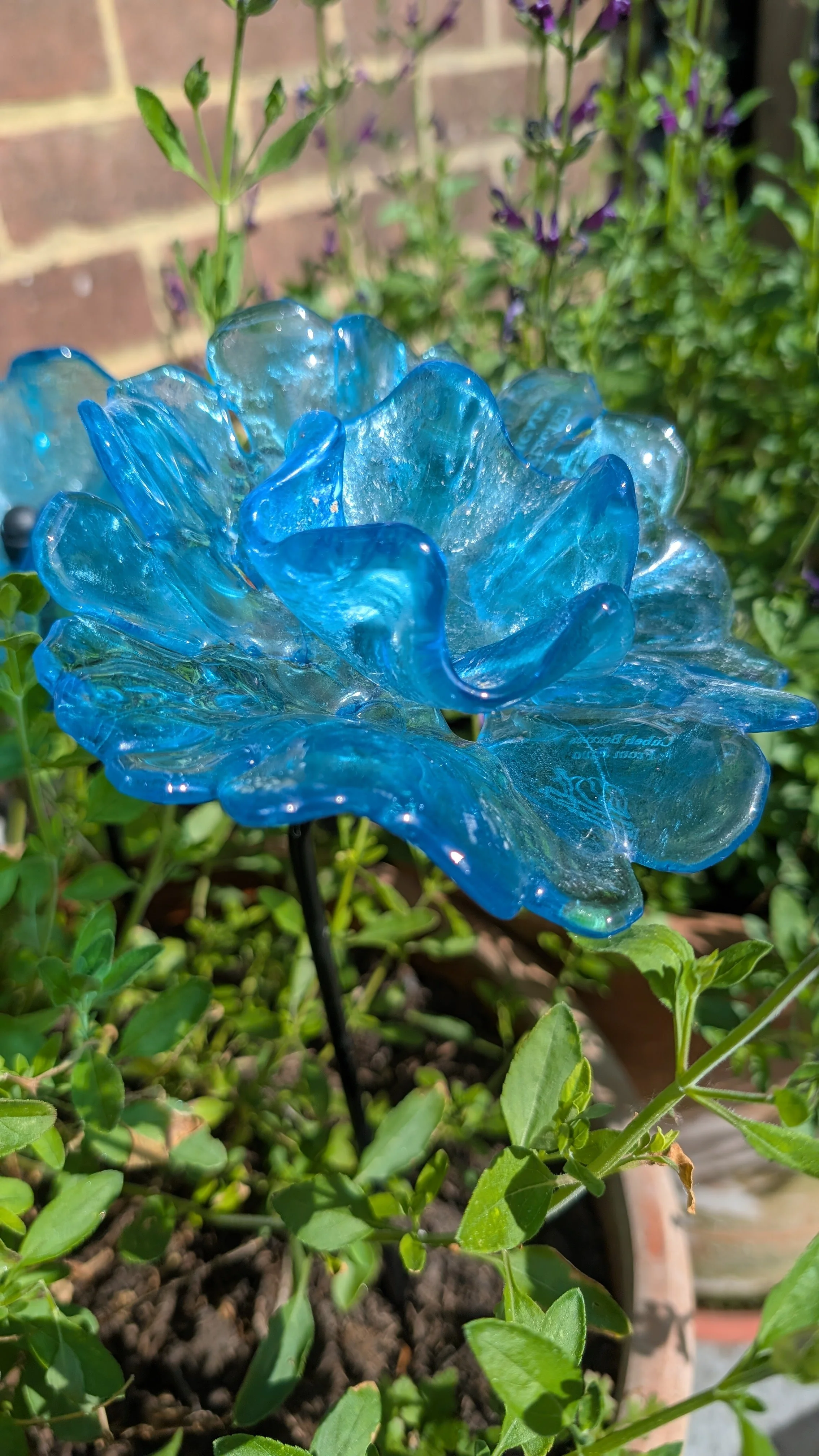 double poppy, stem 35cm, £17