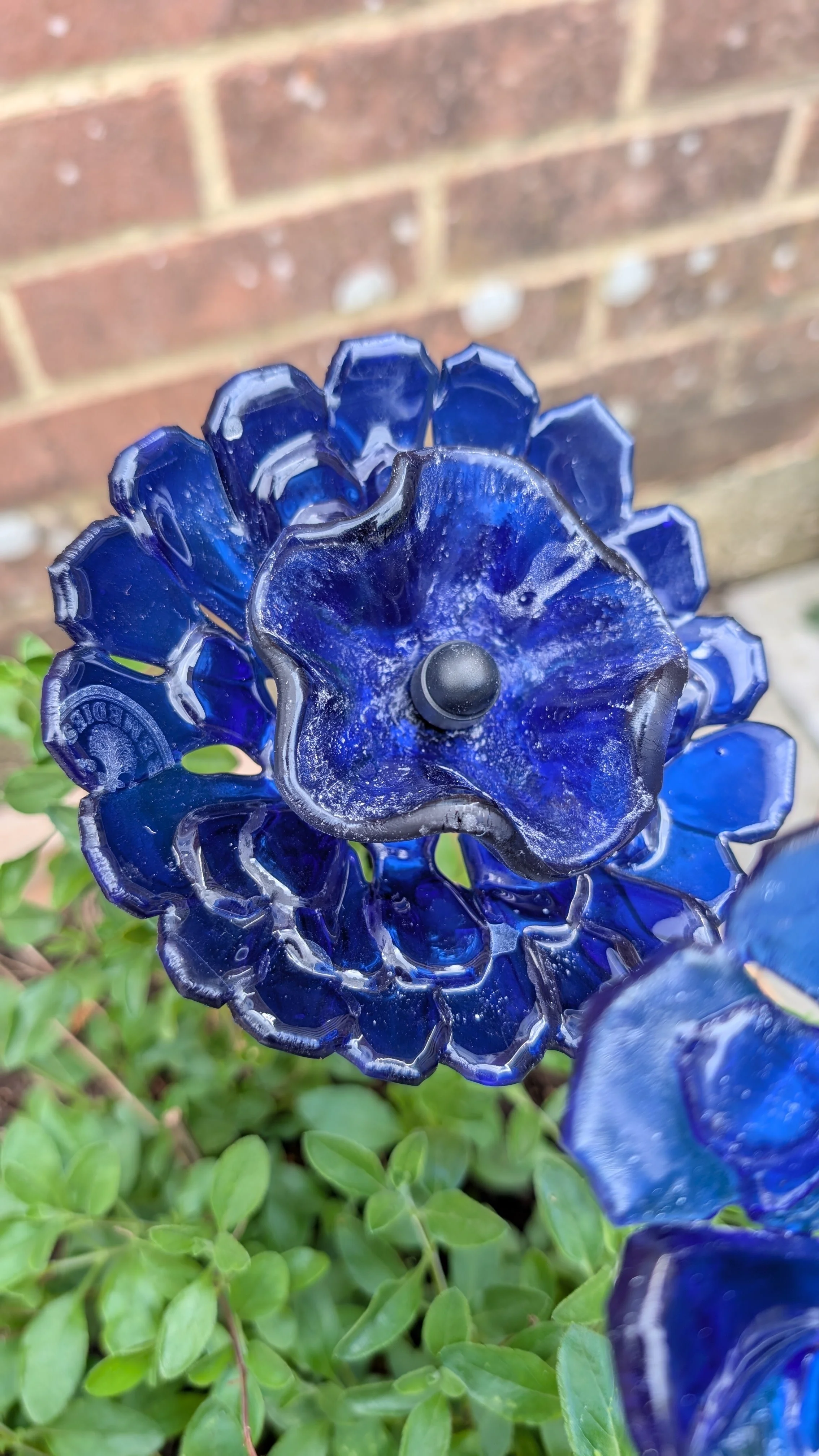 double poppy, stem 35cm, £17