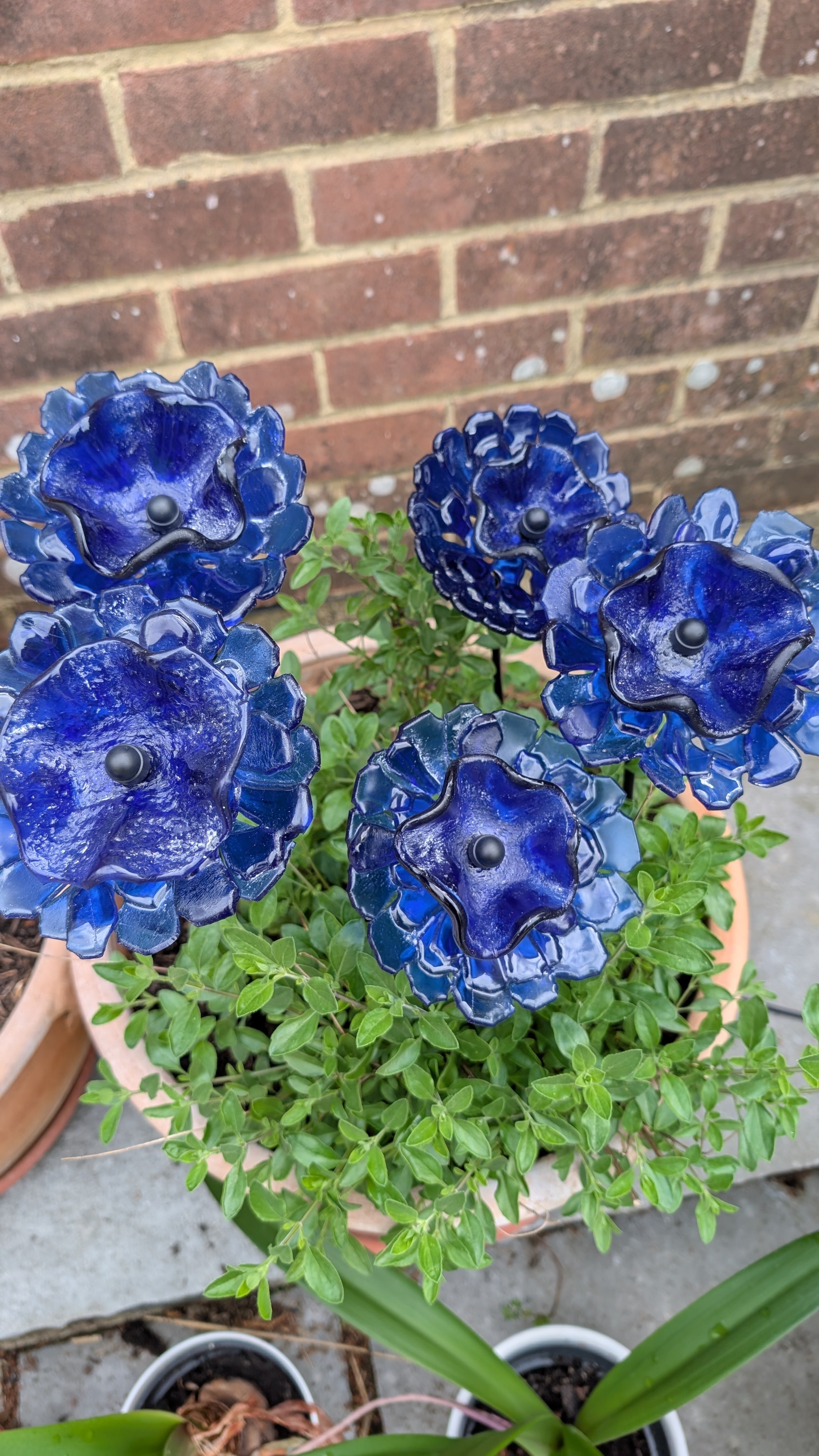 double poppy, stem 35cm, £17