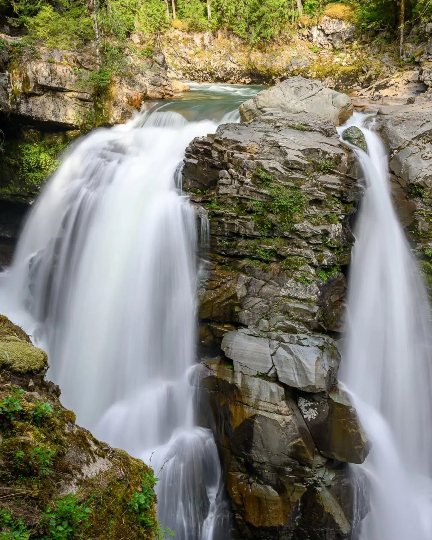 'Split Forces'
📍 Nooksack Falls, Washington
#waterfall #cascademountains #northcascadesnationalpark #nationalpark