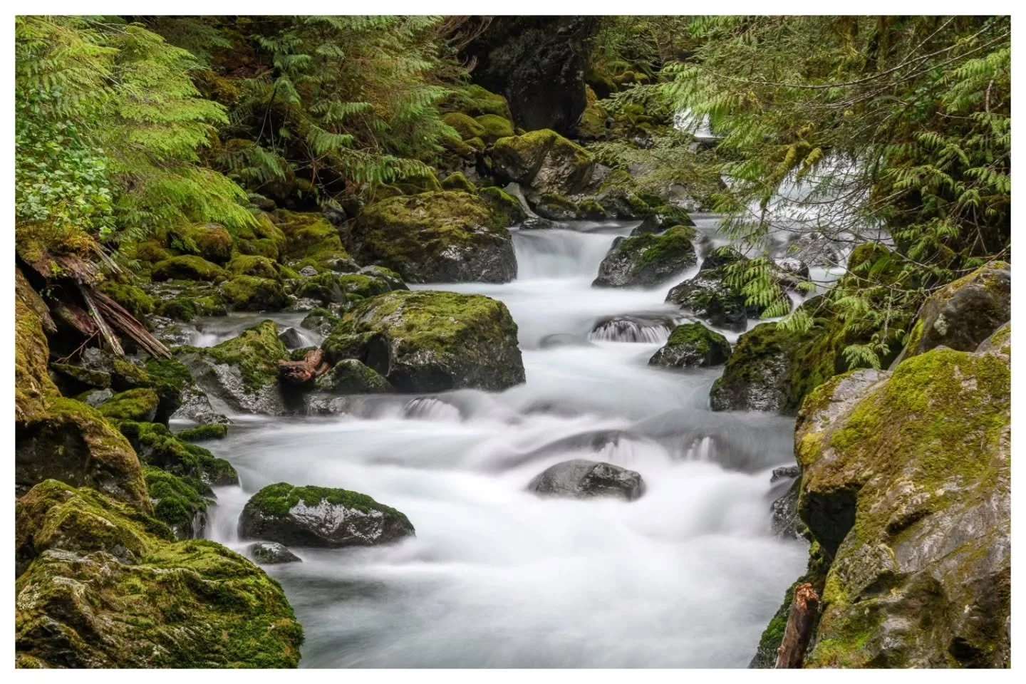 'Regalia'
[ 3s ● f10 ● ISO 140 ● 102mm ]
📍 Maidenhair Falls, Washington

The journey may be better than the destination, but what about when they're both good? What then huh?

#cascadingriver #mossyrocks #lushgreenery #lush #naturephotography #lands