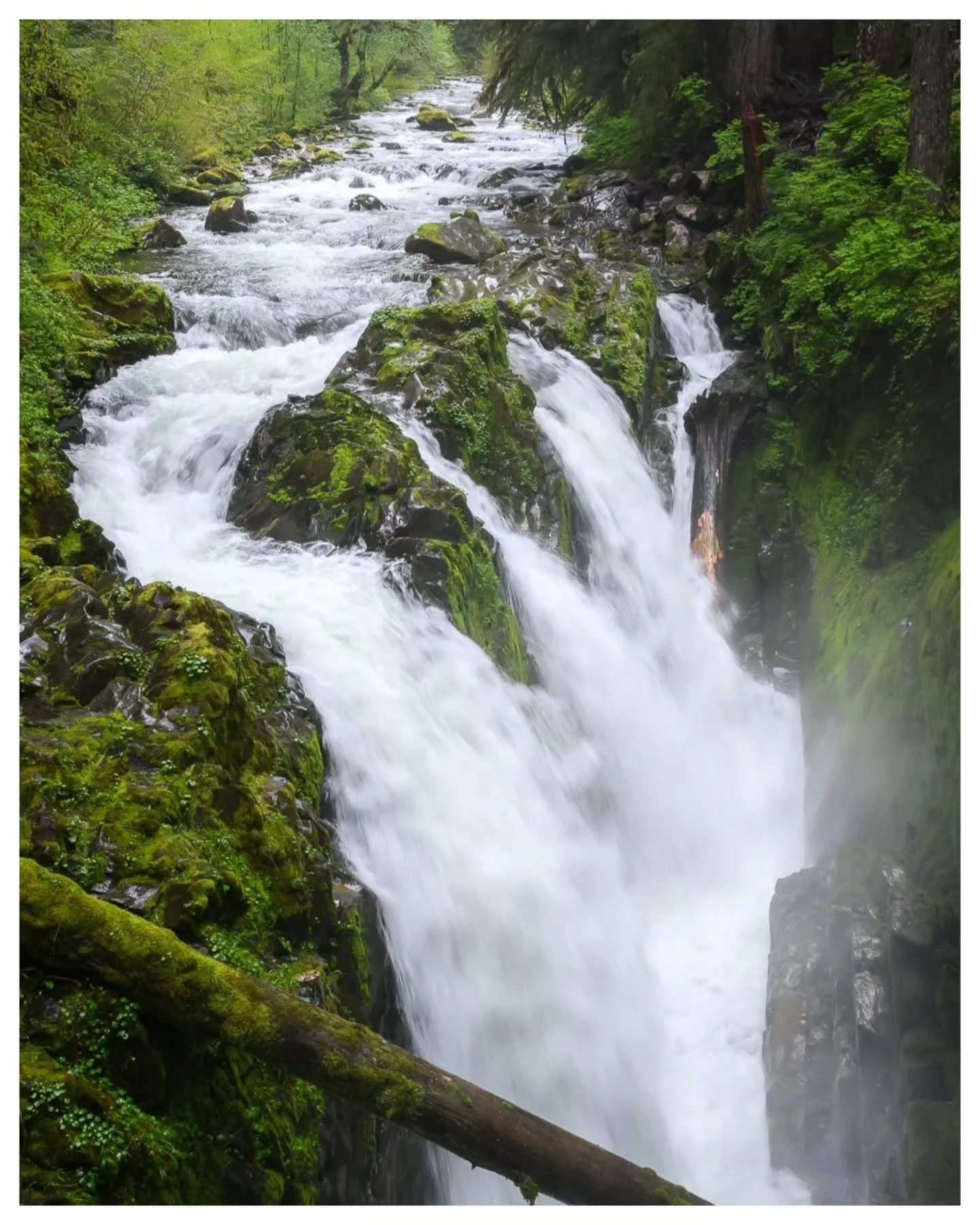 'Becoming Superstitious'
[ 1/25s ● f6.3 ● ISO 640 ● 30mm ]
📍 Sol Duc Falls, Washington

Still one of the most magical places I've visited. These falls are a must see if you're exploring the Olympic National Park. I experimented with different shutte