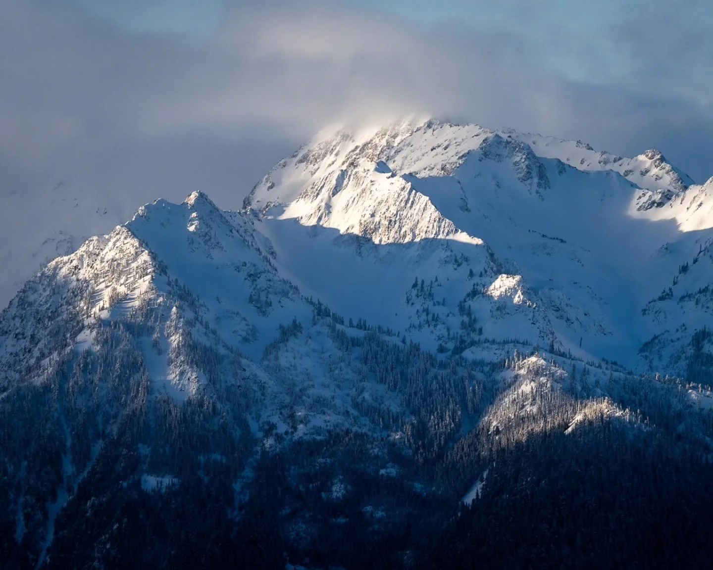 'Feign Death 1-3'
Here are a few shots I took a little while back but hadn't posted yet. I spent the early morning on Hurricane Ridge watching the sun burn away the overcast clouds to create a gorgeous atmosphere.