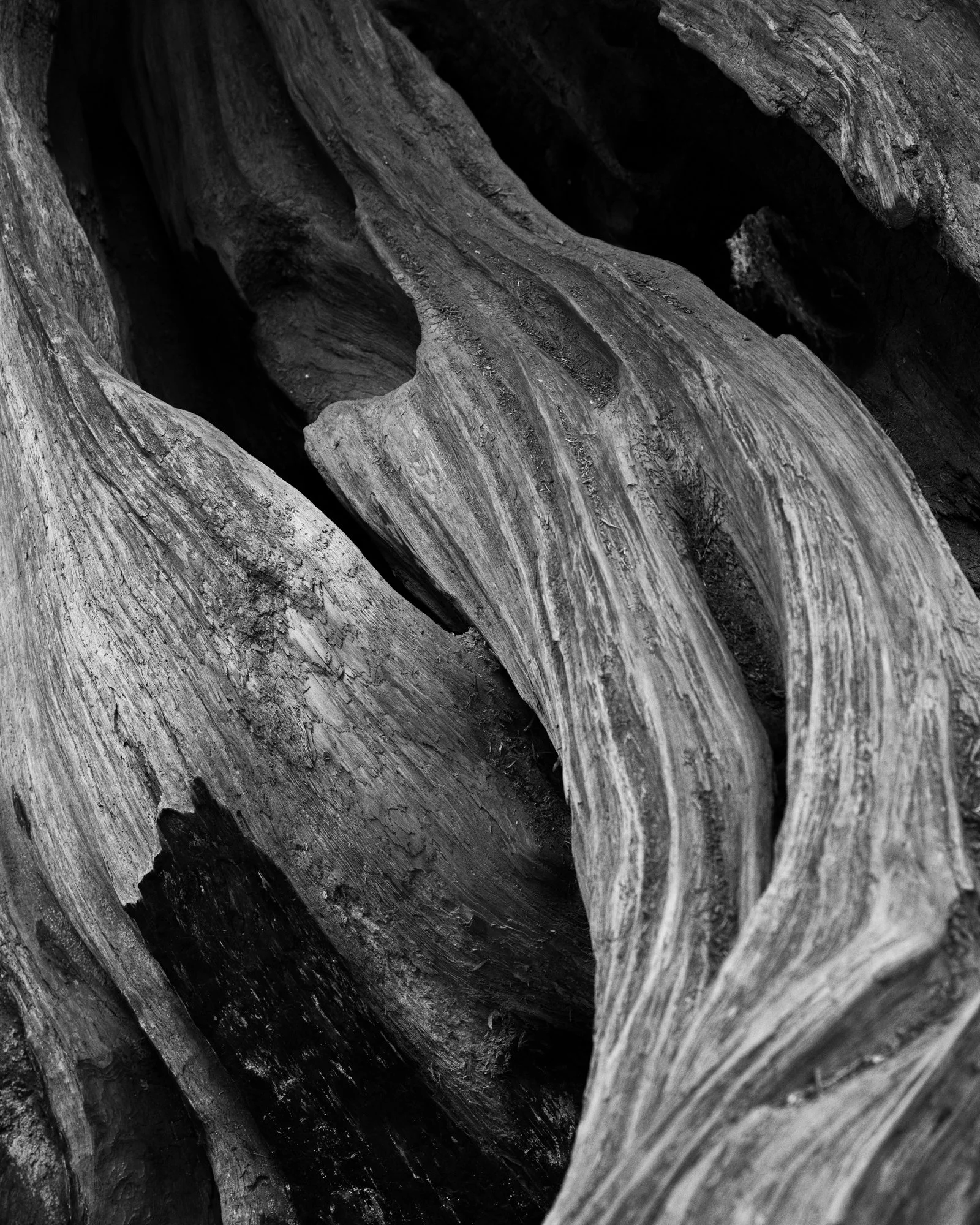 Untitled_Full_Size__DSC3971_20240902.jpg