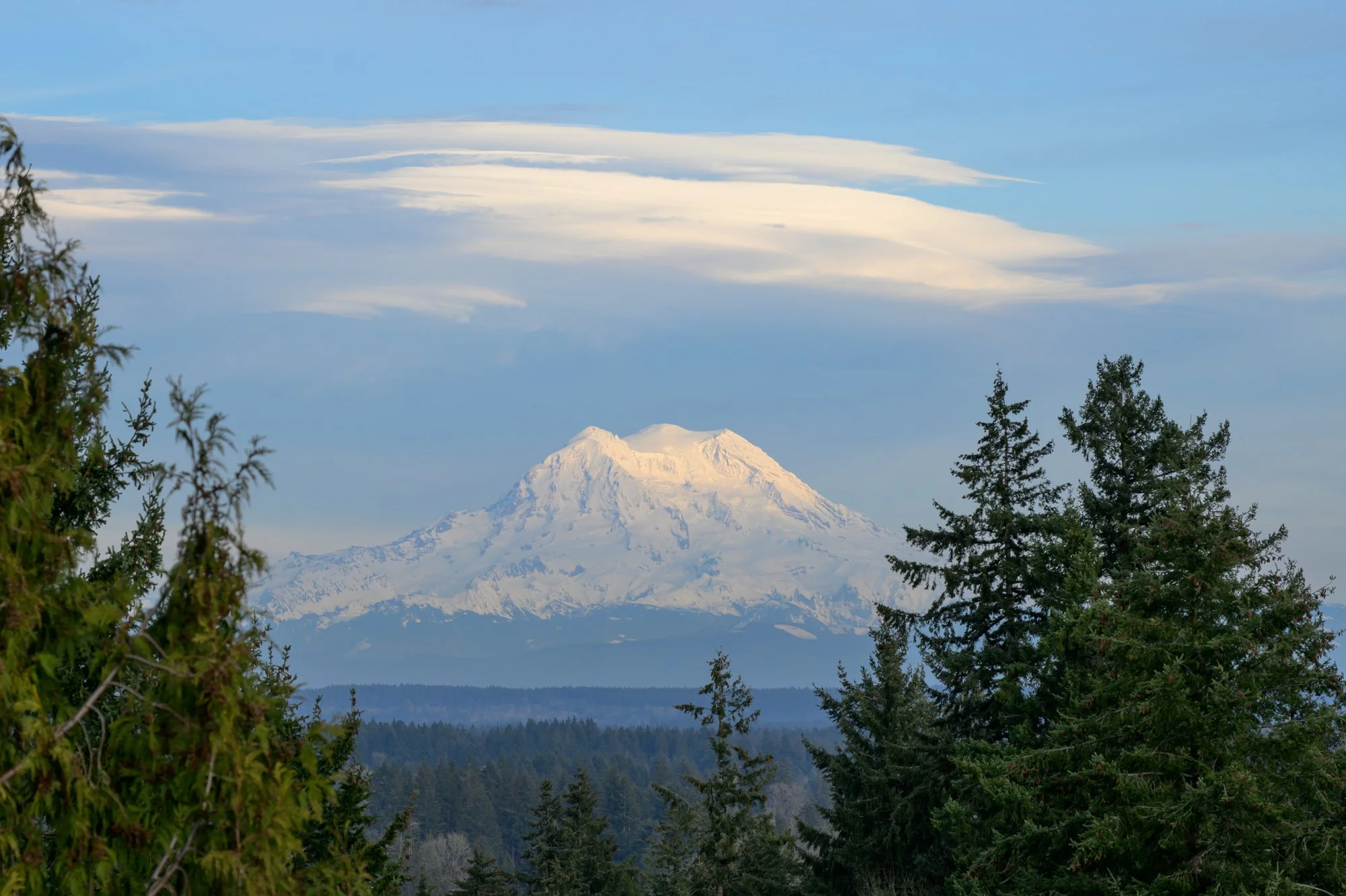 Untitled_Full_Size__DSC3321_20250226.jpg
